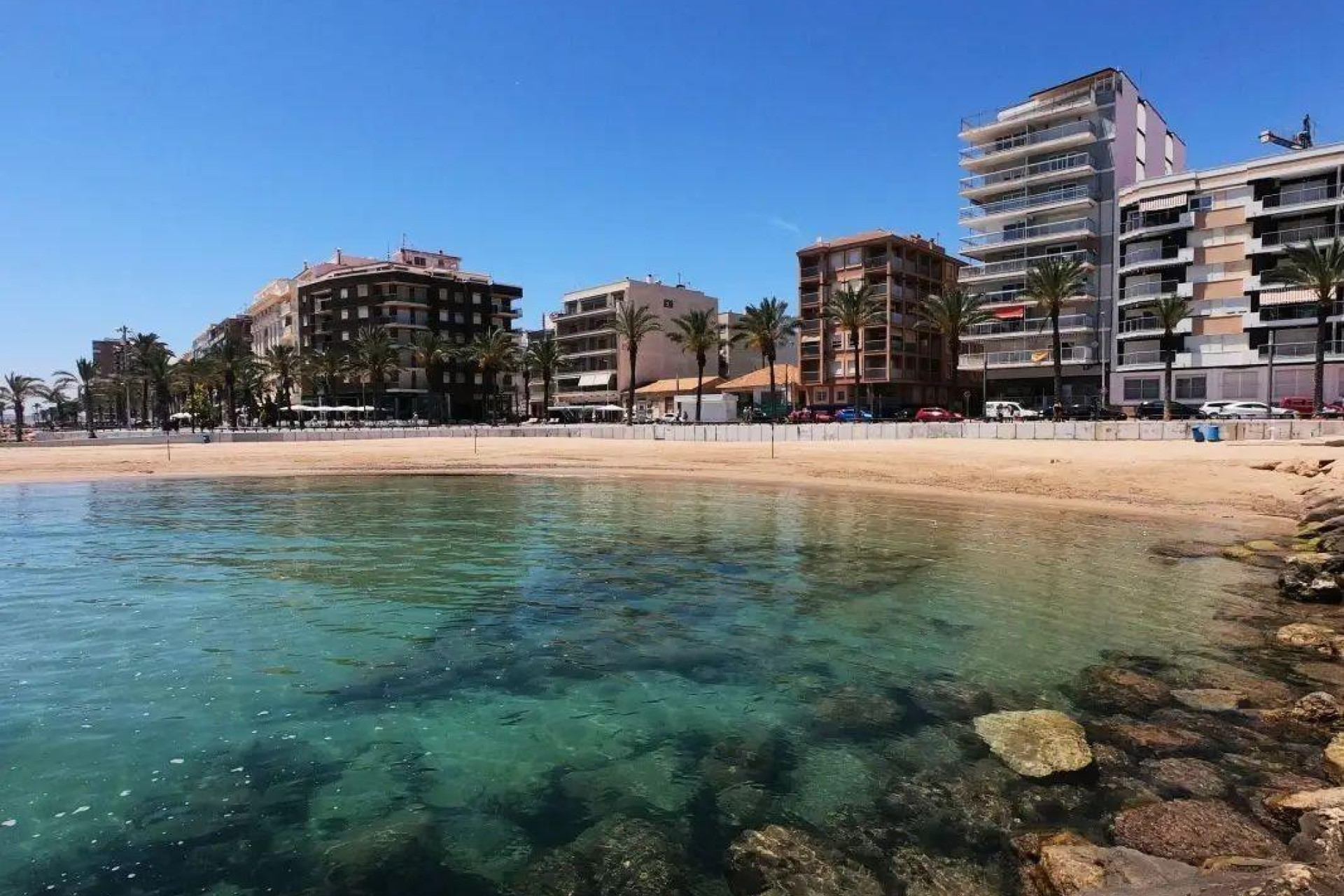 New Build - Apartment  - Torrevieja - Paseo maritimo