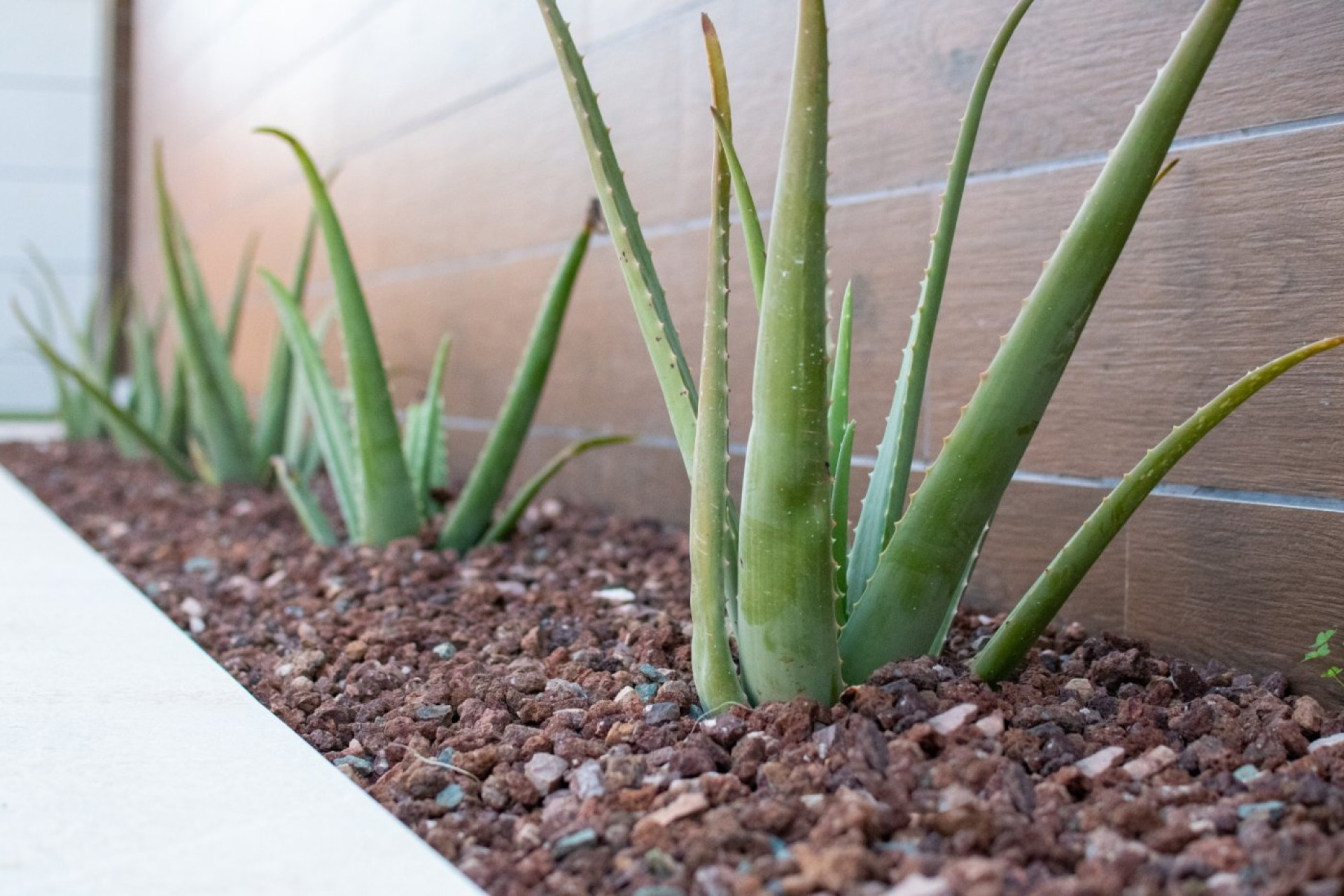 New Build - Villa de Lujo - Los Montesinos - los montesinos