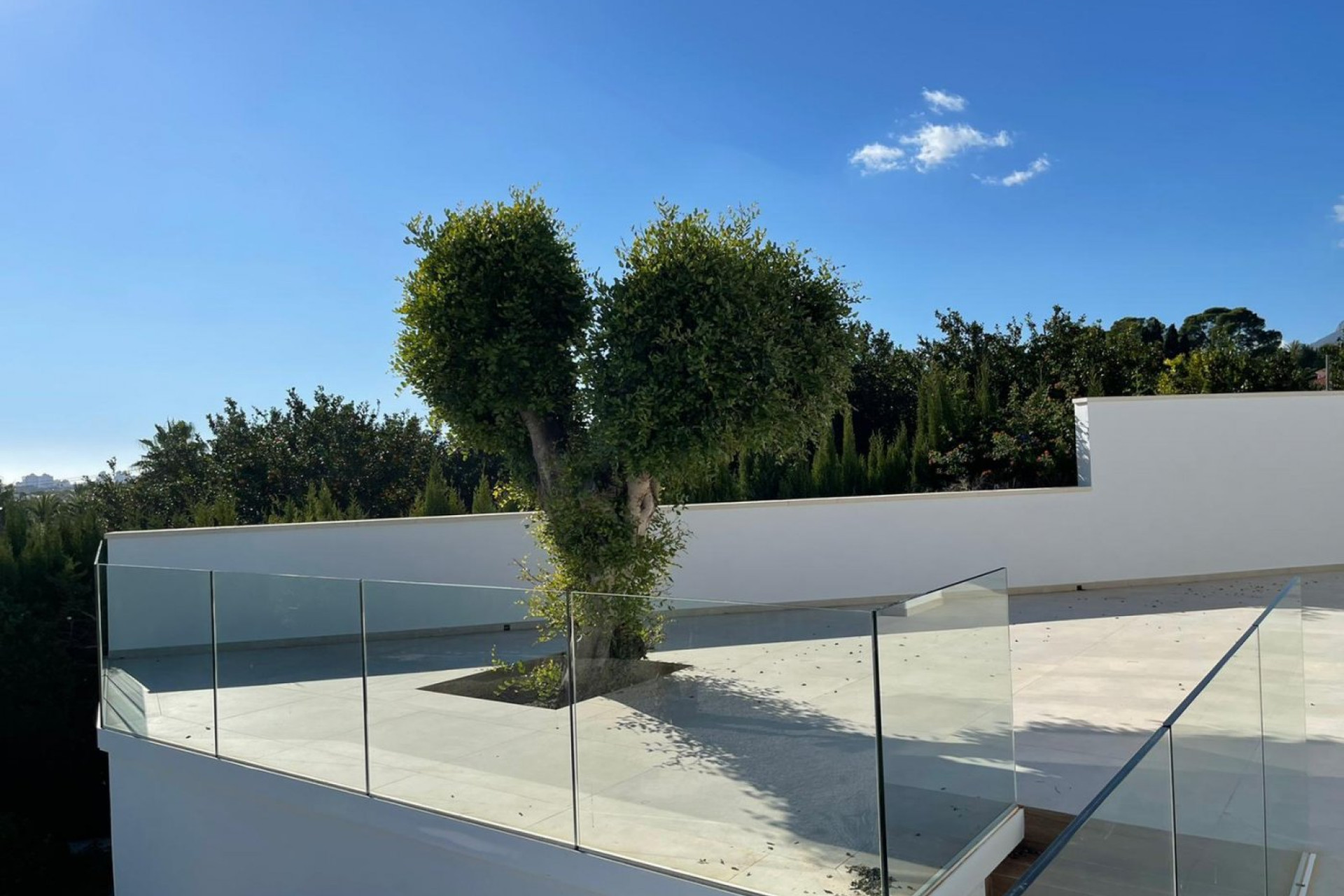 Nieuwbouw - LUXE VILLA - Altea - Planet