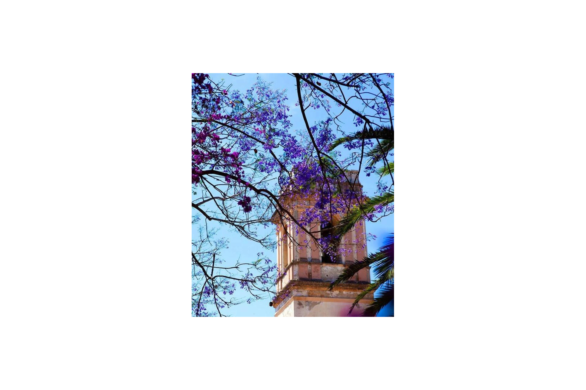 Nouvelle construction - Adosados - Denia - Calle Riu Vernissa, 31