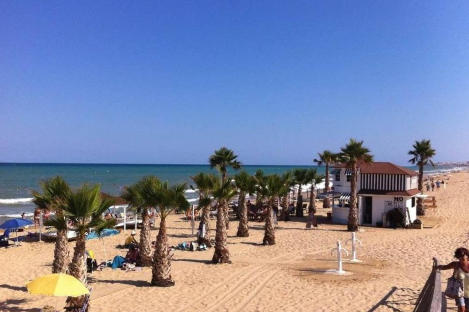 Nouvelle construction - Appartement - Dolores - dolores