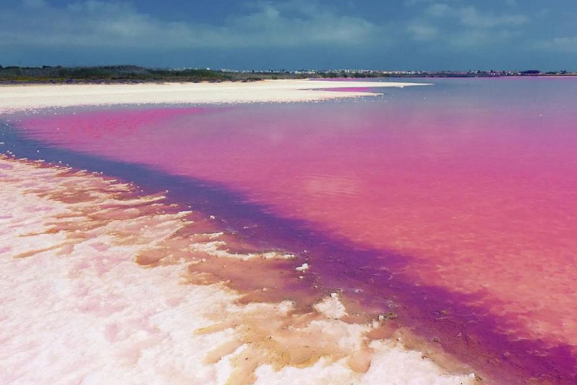 Nouvelle construction - Bungalow - Torrevieja - torrevieja