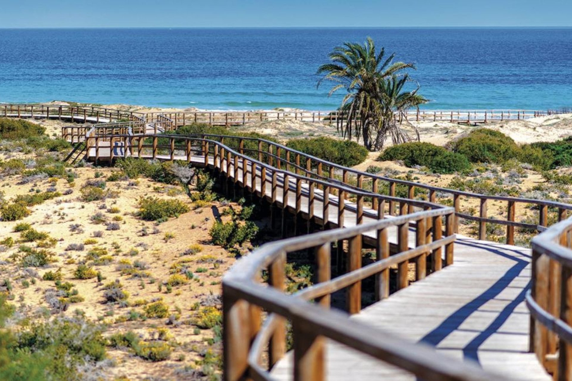 Nouvelle construction - Duplexes - Monforte del Cid