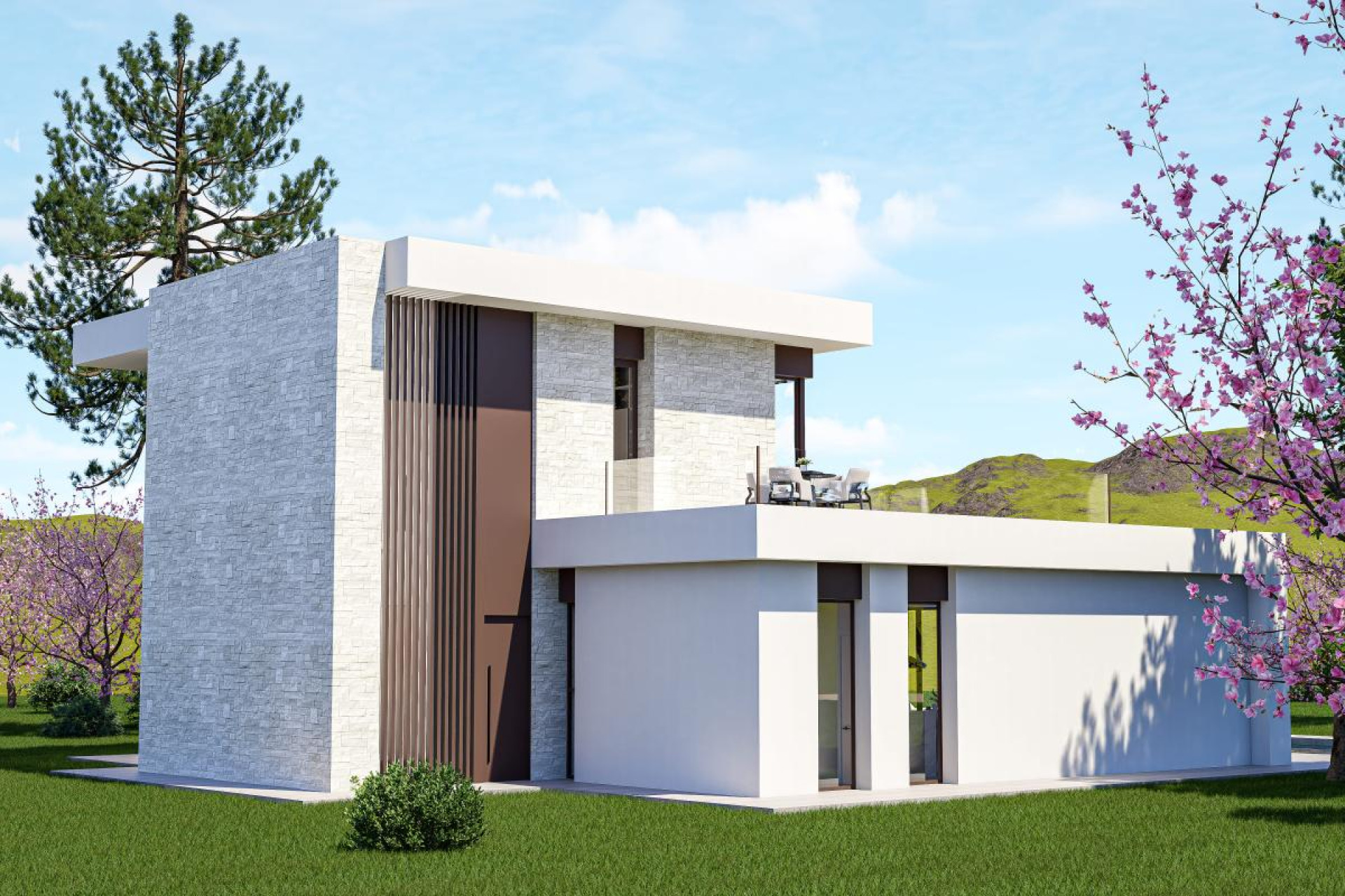 Nouvelle construction - Villa - Aspe