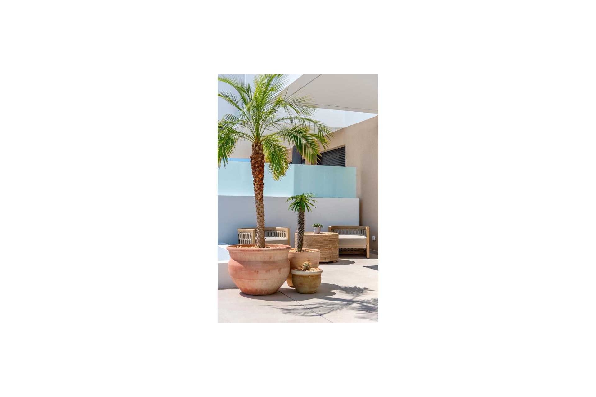 Nouvelle construction - Villa - Dolores - dolores