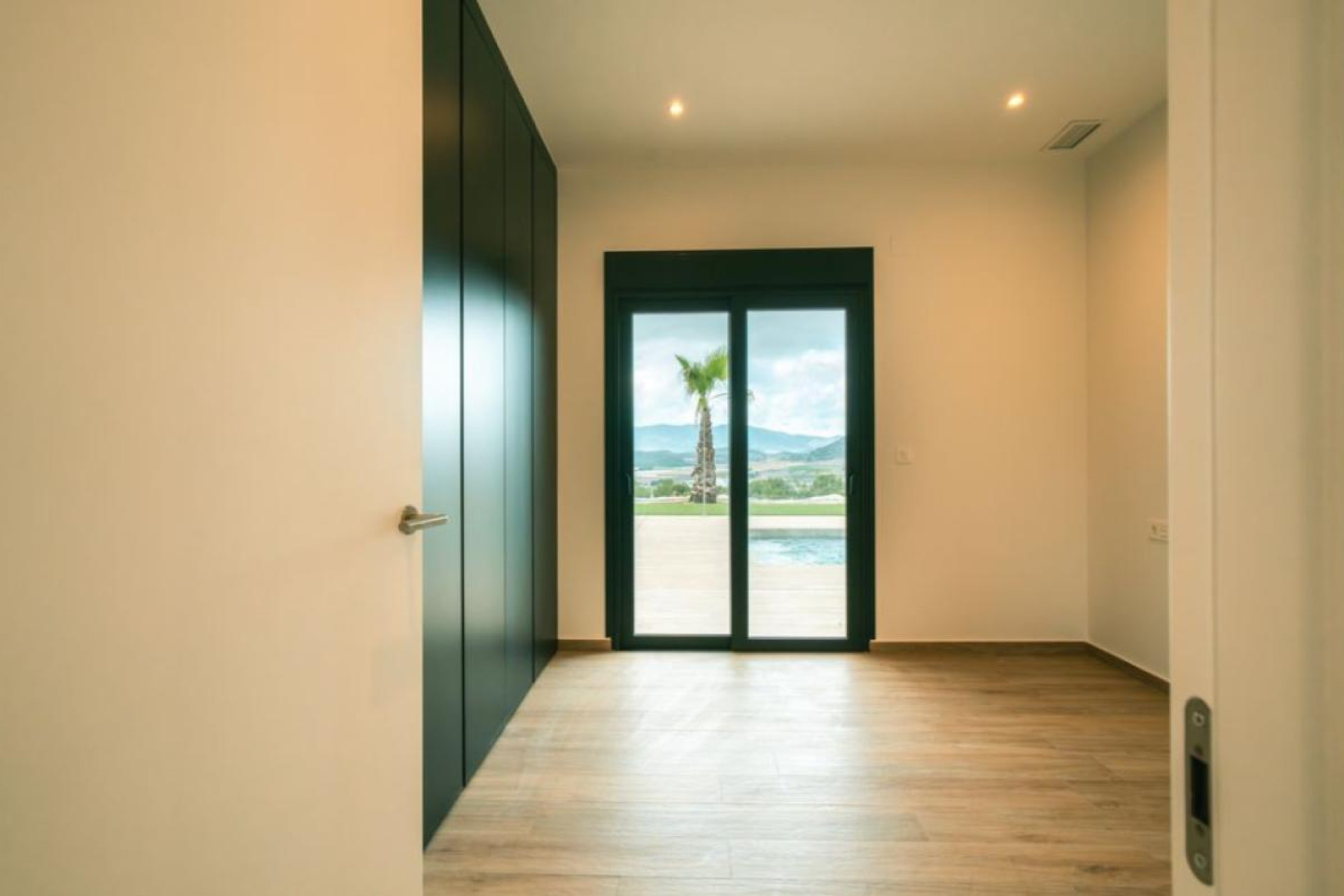 Nouvelle construction - Villas - Pinoso - 03569