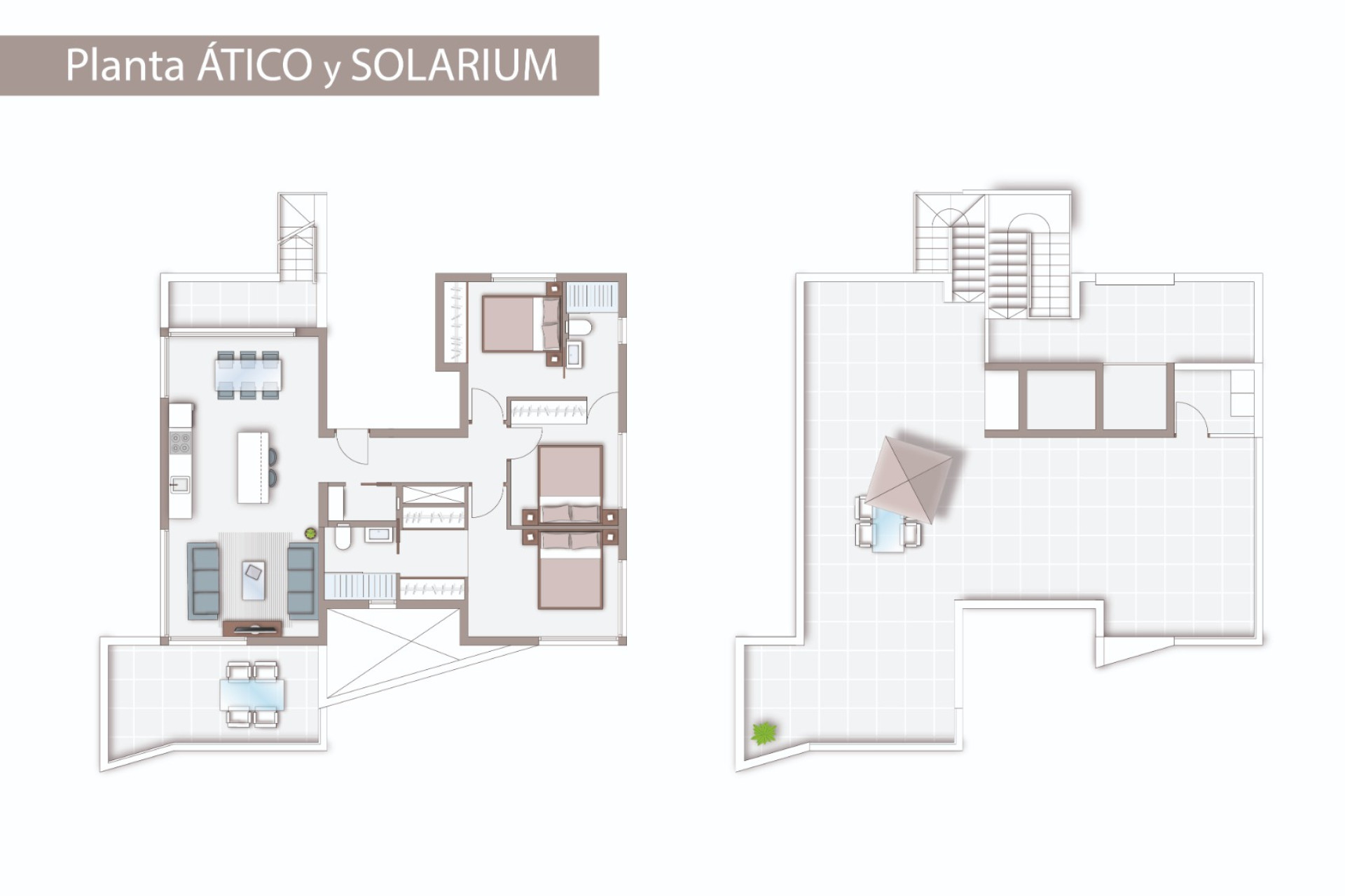 Obra nueva - Apartamento / piso - Guardamar del Segura - PUERTO