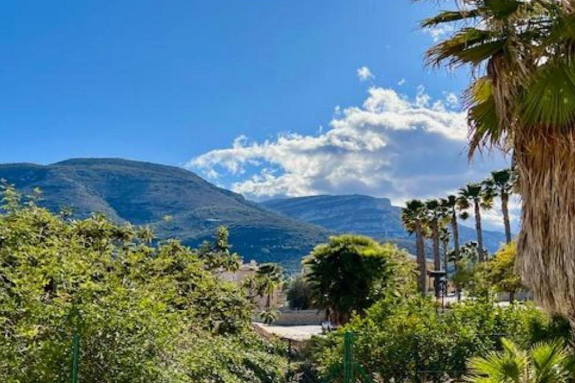 Obra nueva - Apartamento / piso - Orba