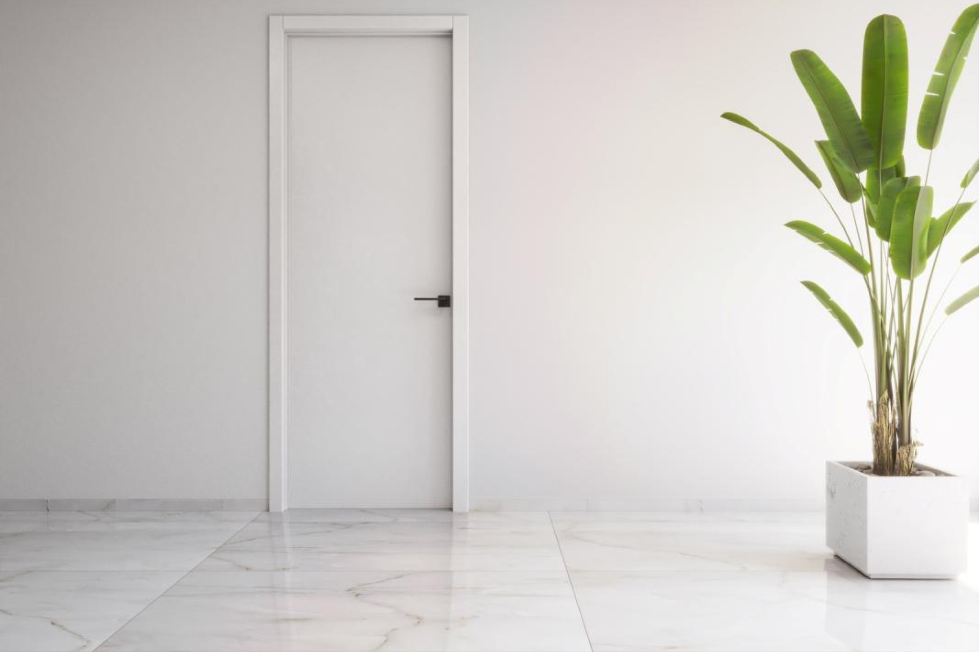 Obra nueva - Apartamento / piso - Torrevieja - torrevieja
