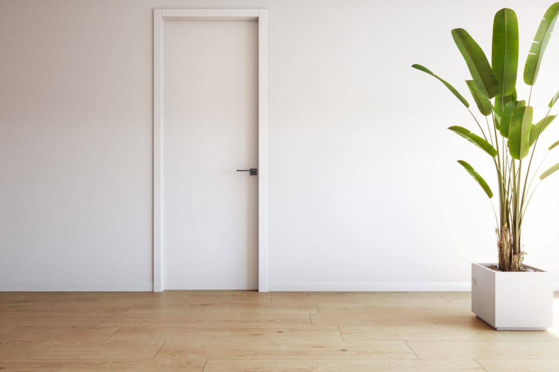 Obra nueva - Apartamento / piso - Torrevieja - torrevieja