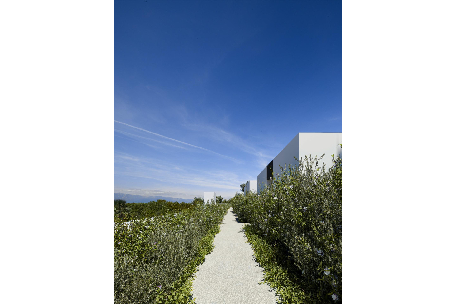 Obra nueva - Villa - l'Alfas del Pi - Colonia Escandinavia-Cautivador