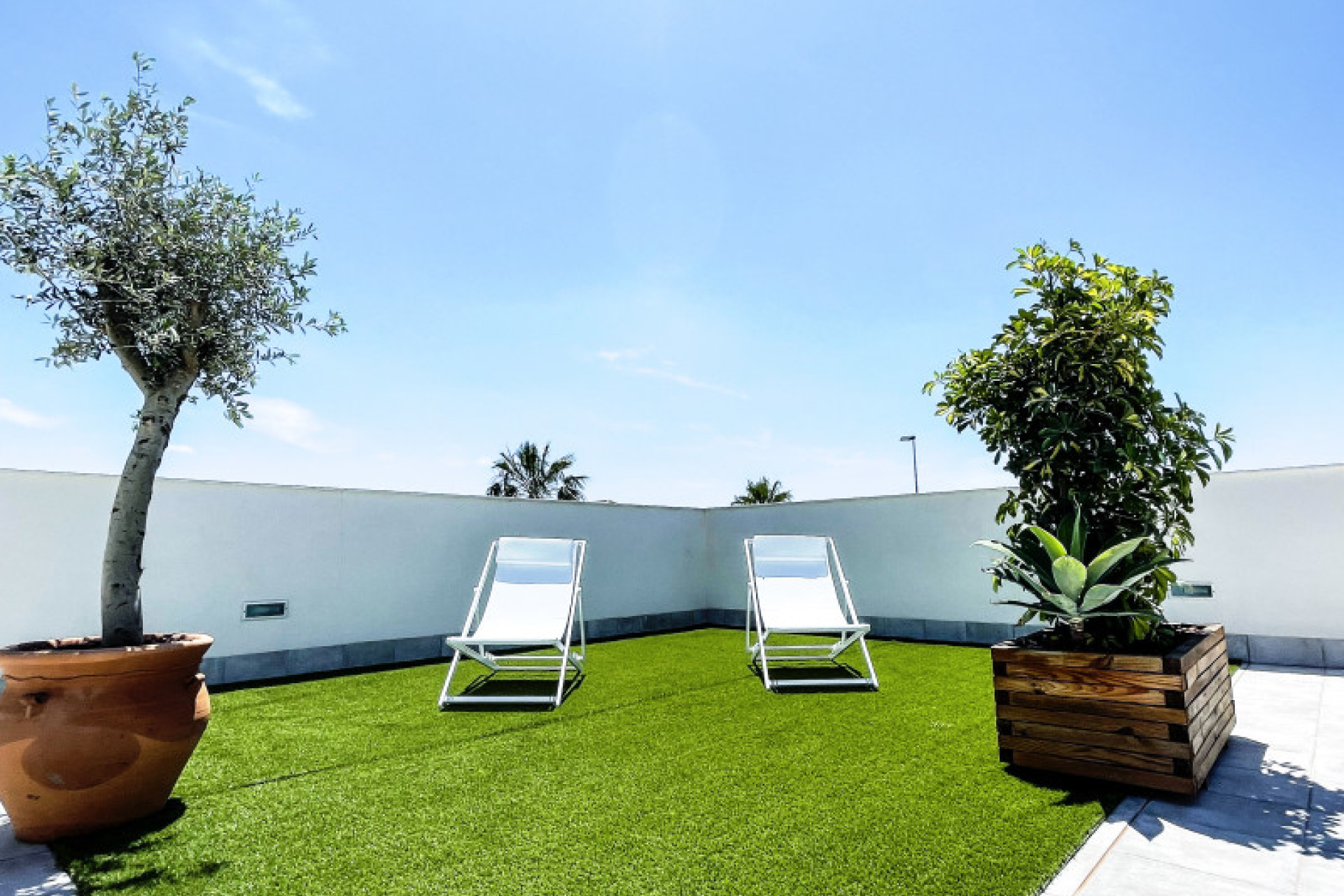 Obra nueva - Villa - Pilar de la Horadada - PILAR DE LA HORADADA