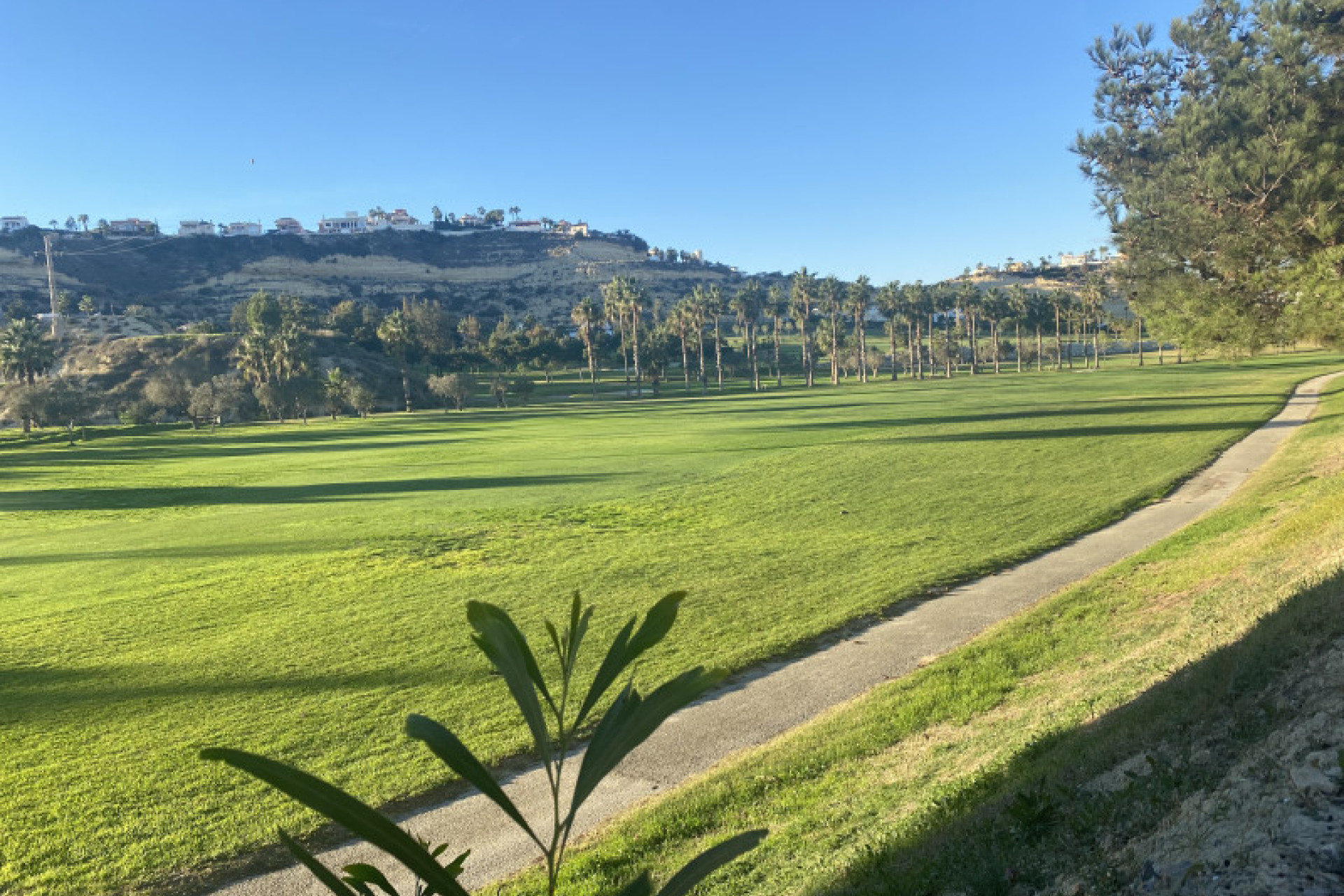 Obra nueva - Villas - Rojales - 03170