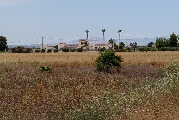 Parcela - Resale - San Fulgencio - JJTIT-13887