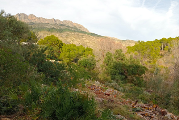 Parcela / Terreno - Reventa - Altea - Altea