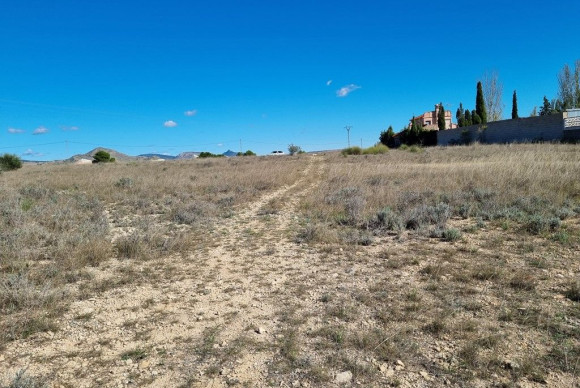 Parcela / Terreno - Reventa - CAUDETE - JJSCHS-74534