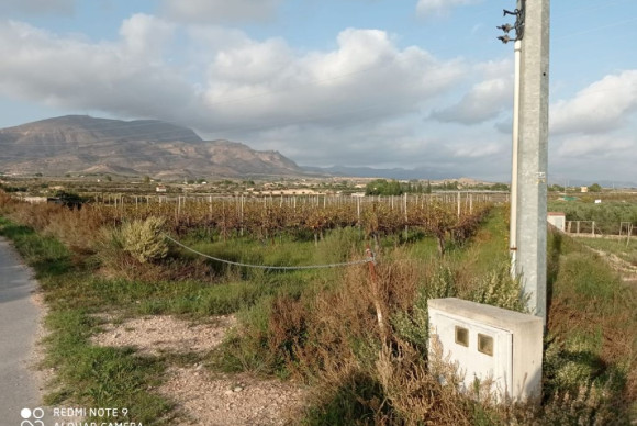 Parcelle / Terrain - Revente - Monforte del Cid - JJSCHS-84919