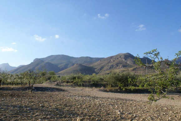 Parcelle / Terrain - Revente - Murcia - JJSLP-66595