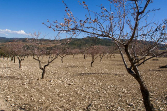 Parcelle / Terrain - Revente - Murcia - Murcia