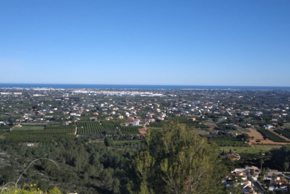 Parcelle / Terrain - Revente - Pedreguer - Pedreguer