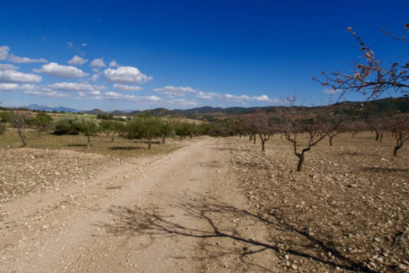 Plot / Land - Resale - Murcia - Murcia
