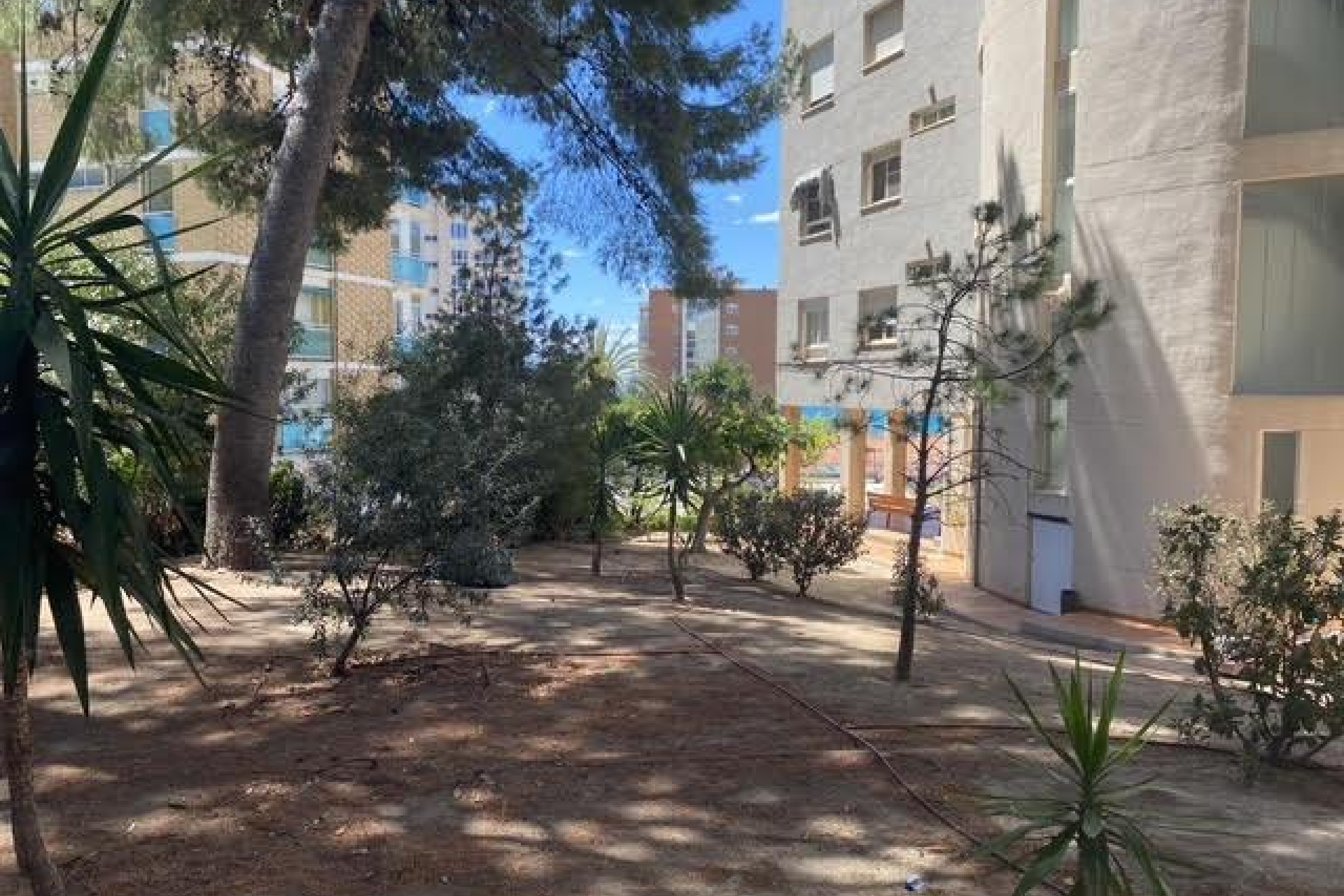Resale - Apartment  - Alicante - La Albufereta