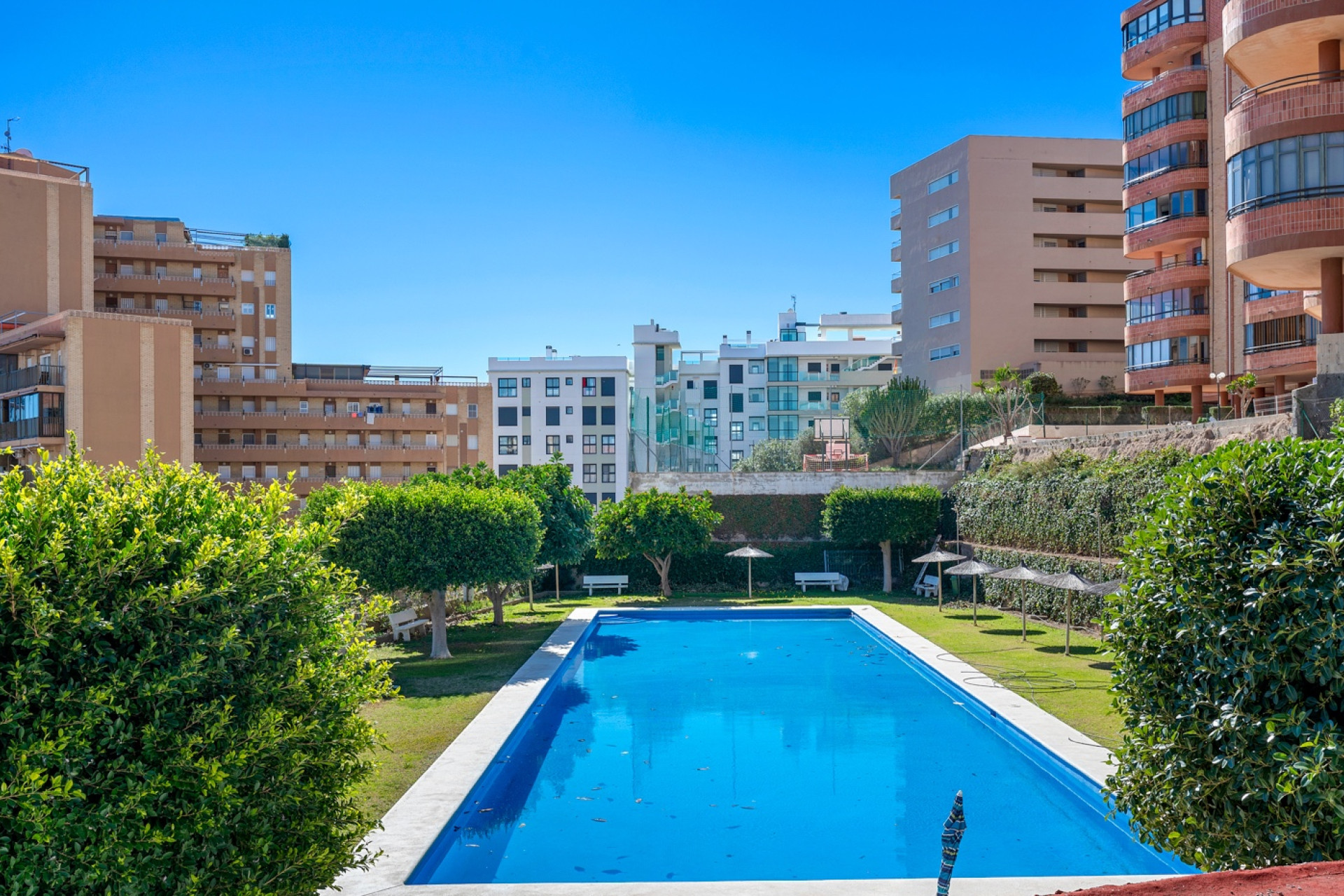 Resale - Apartment  - Arenales del Sol - Arenales del Sol - Town
