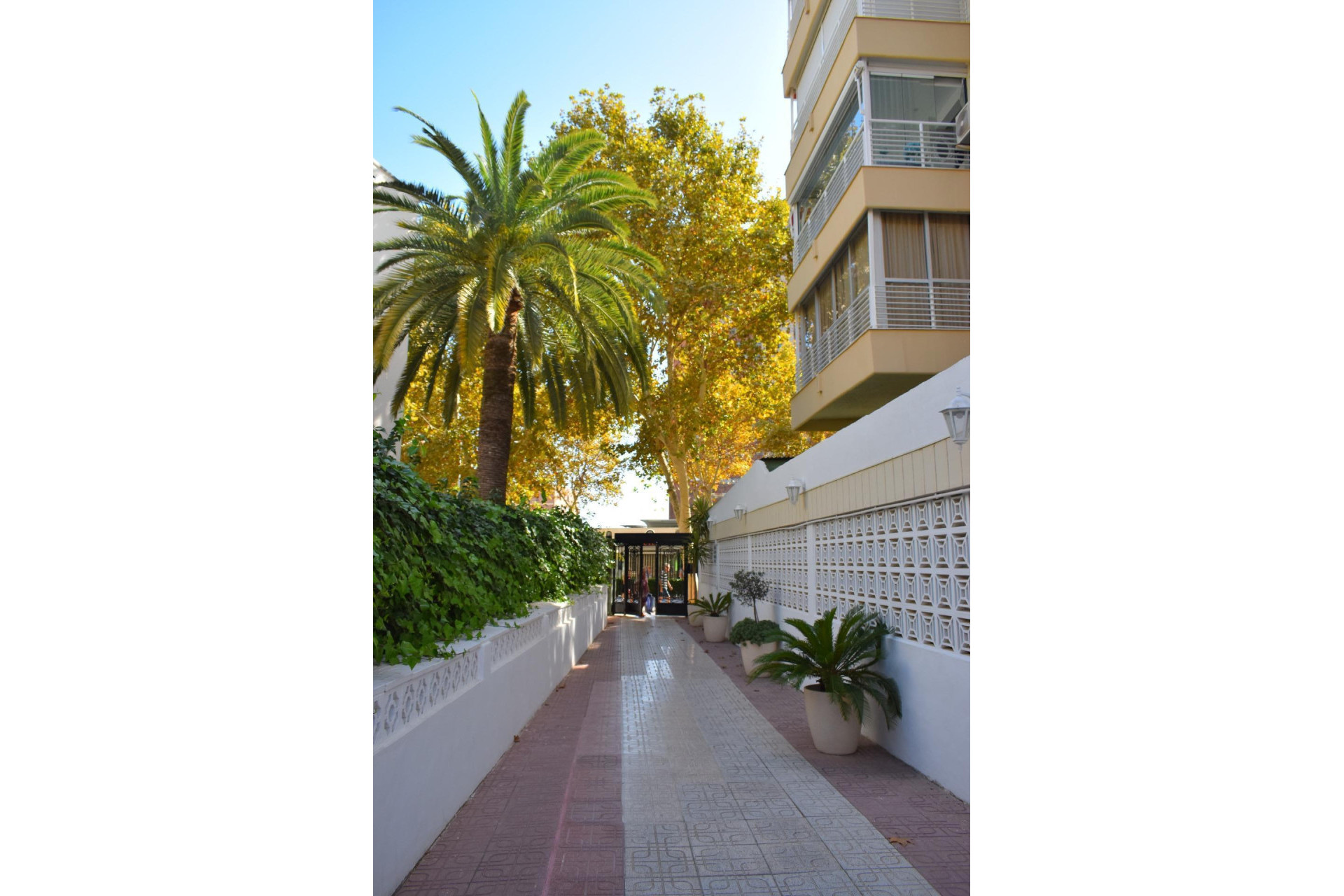 Resale - Apartment  - Benidorm - Avenida del Mediterraneo