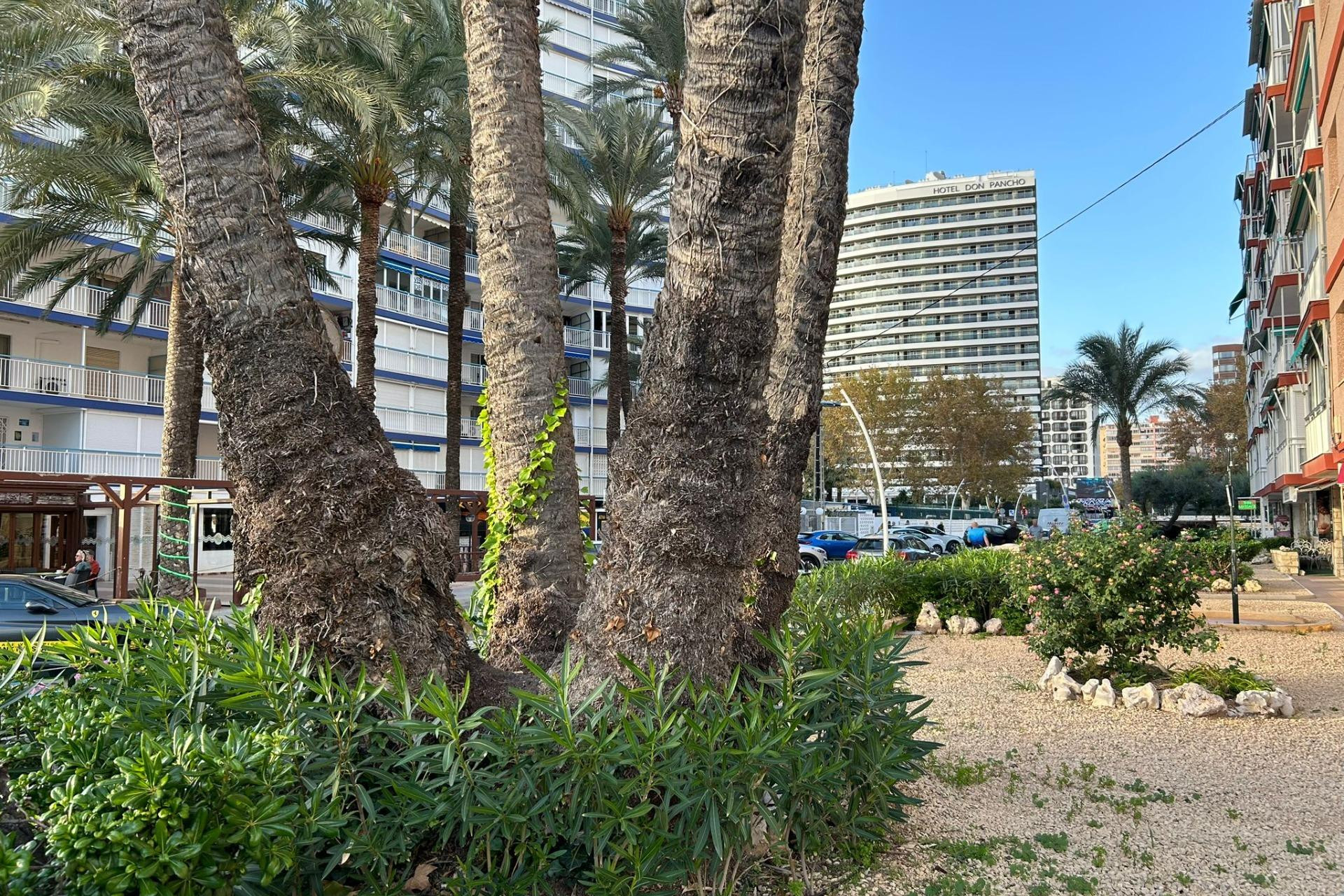 Resale - Apartment  - Benidorm - Avenida del Mediterraneo