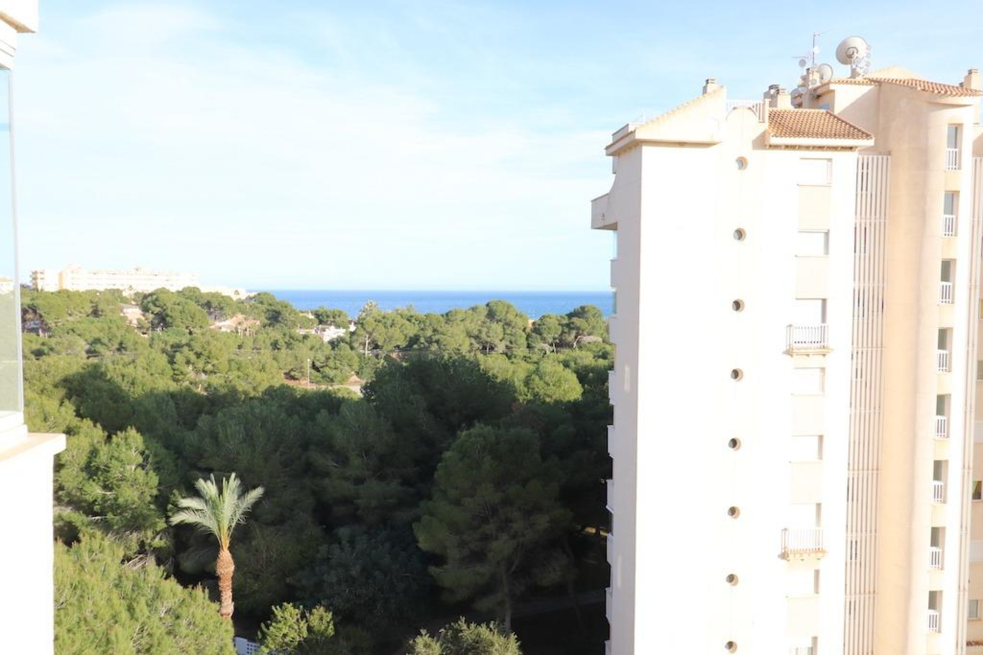 Resale - Apartment  - Dehesa De Campoamor