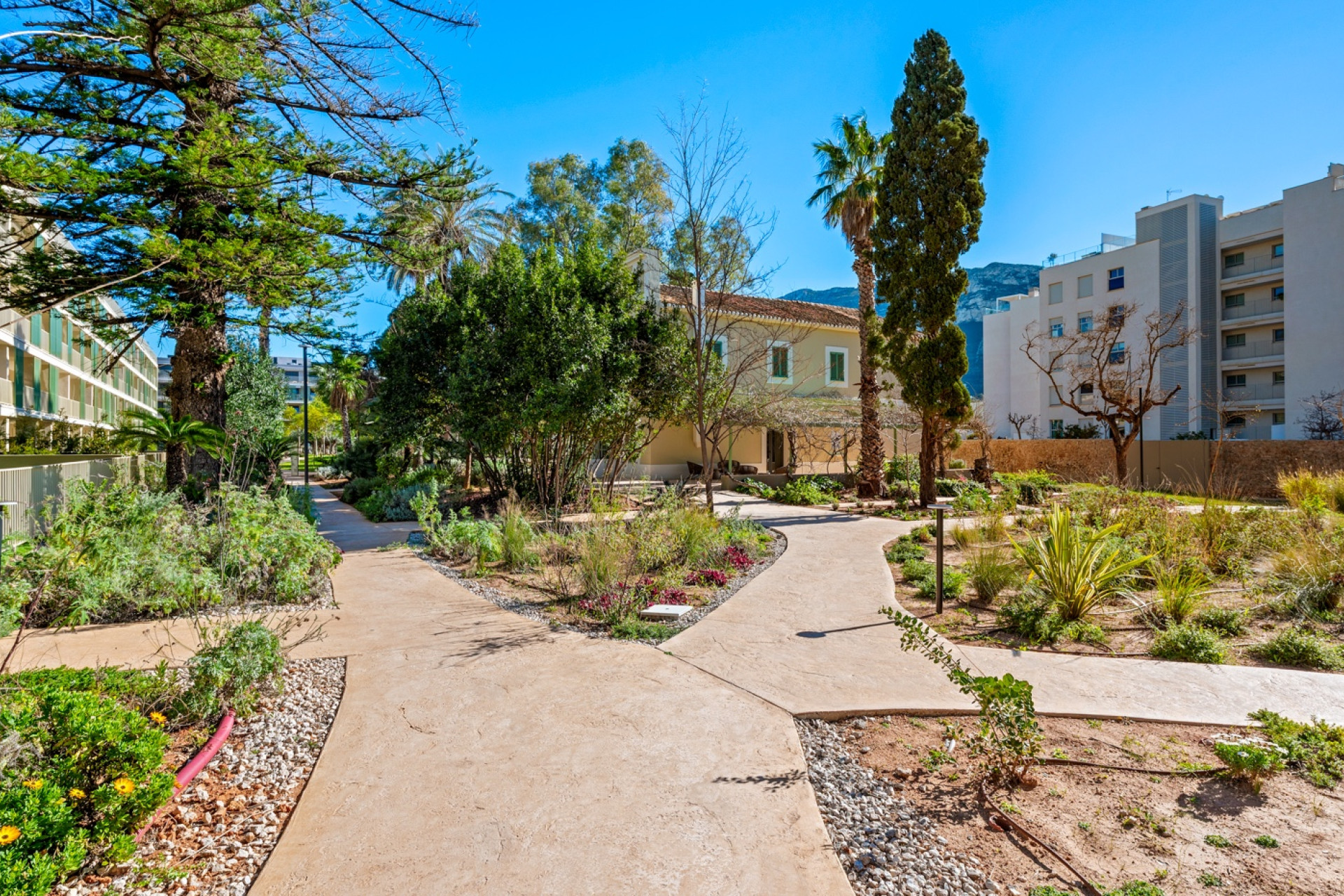 Resale - Apartment  - Denia - Denia - Town