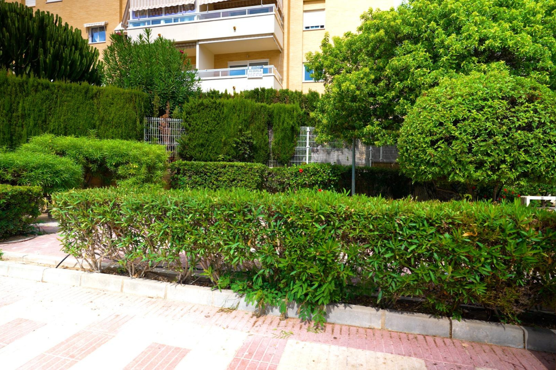 Resale - Apartment  - El Campello - Campello Playa