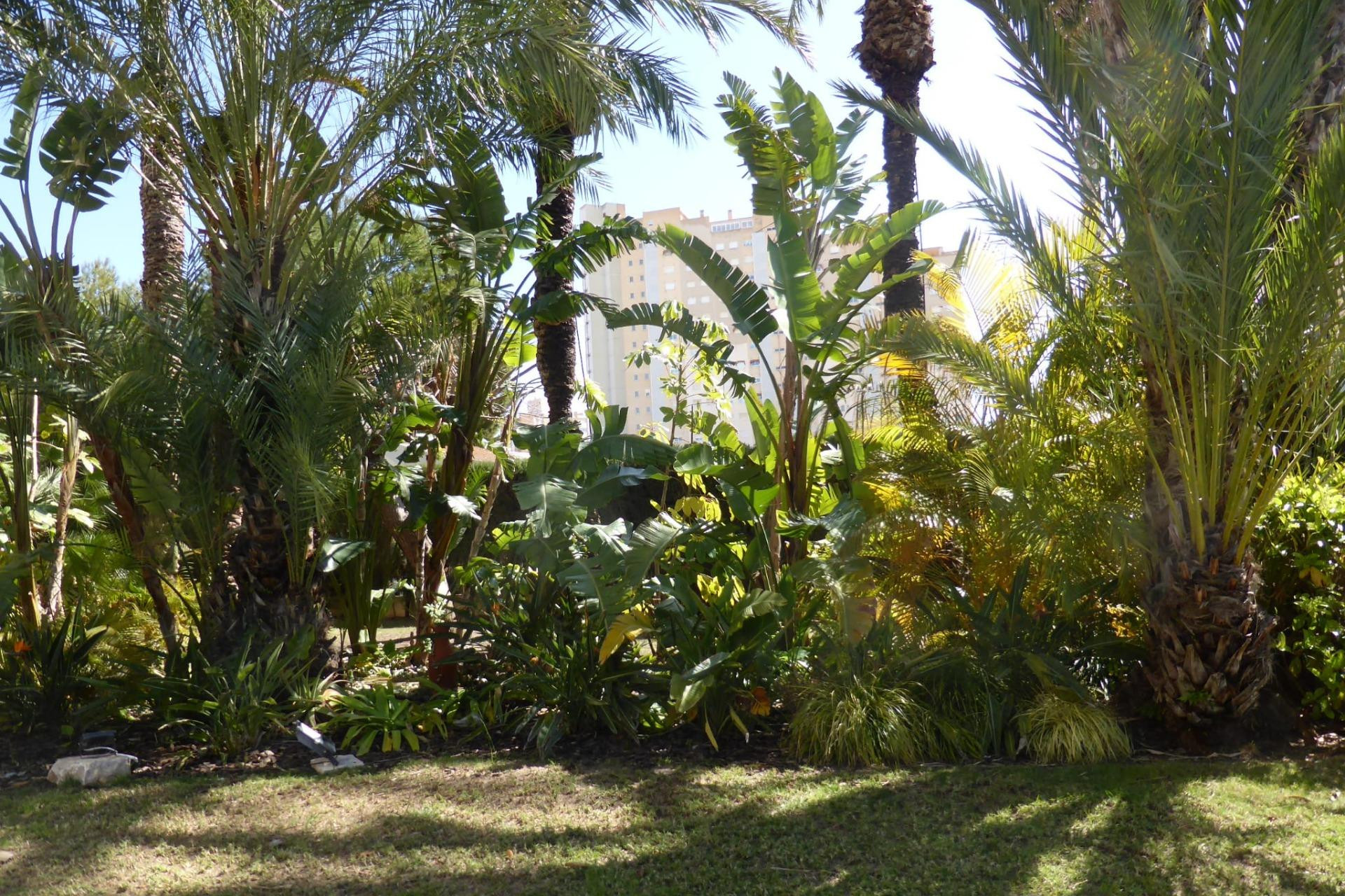 Resale - Apartment  - El Campello - Playa muchavista