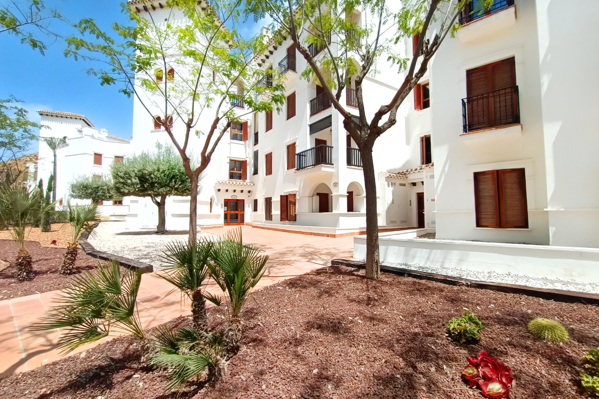 Resale - Apartment  - El Valle Golf Resort - El Valle Golf Resort - Centre