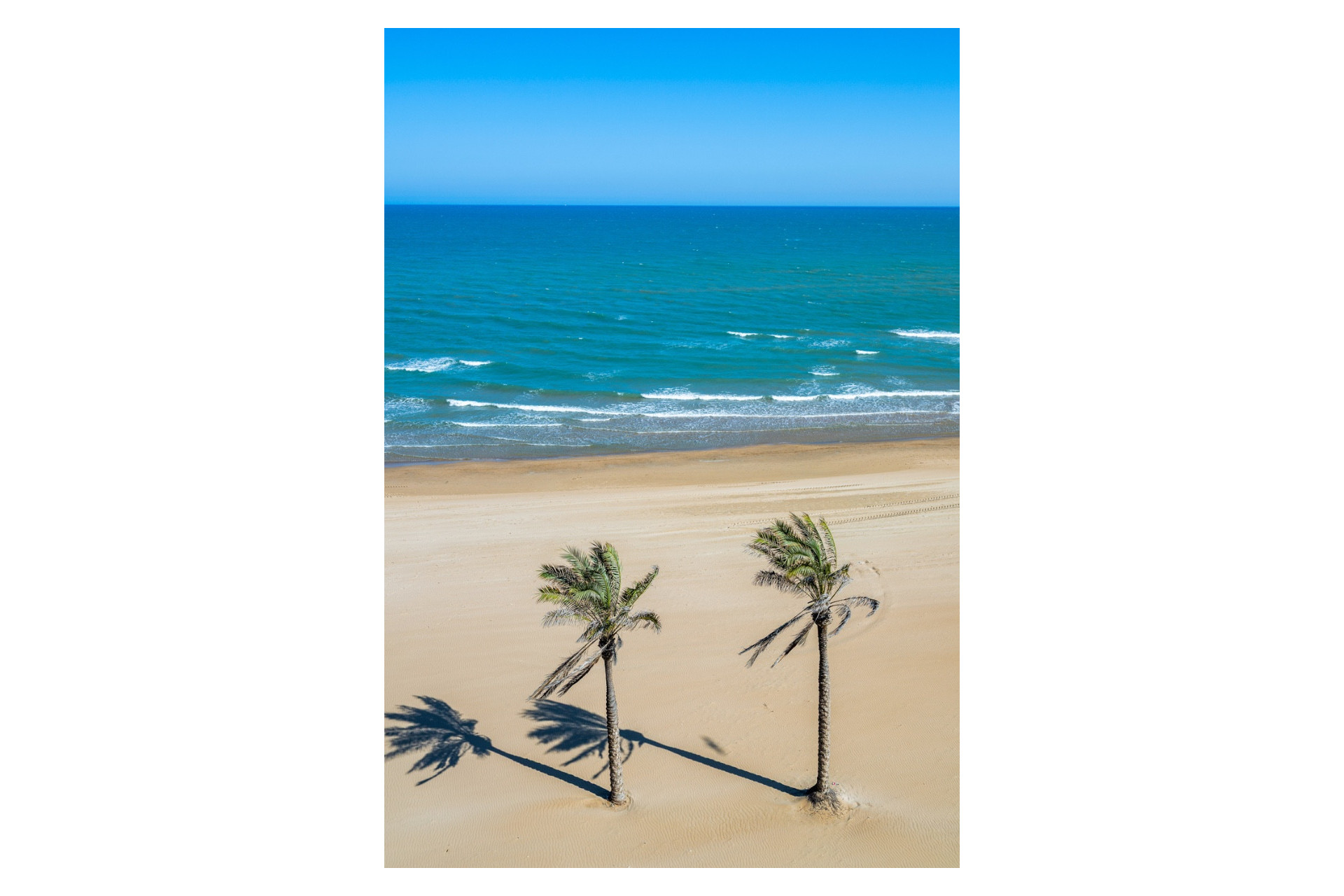 Resale - Apartment  - Guardamar del Segura - Guardamar