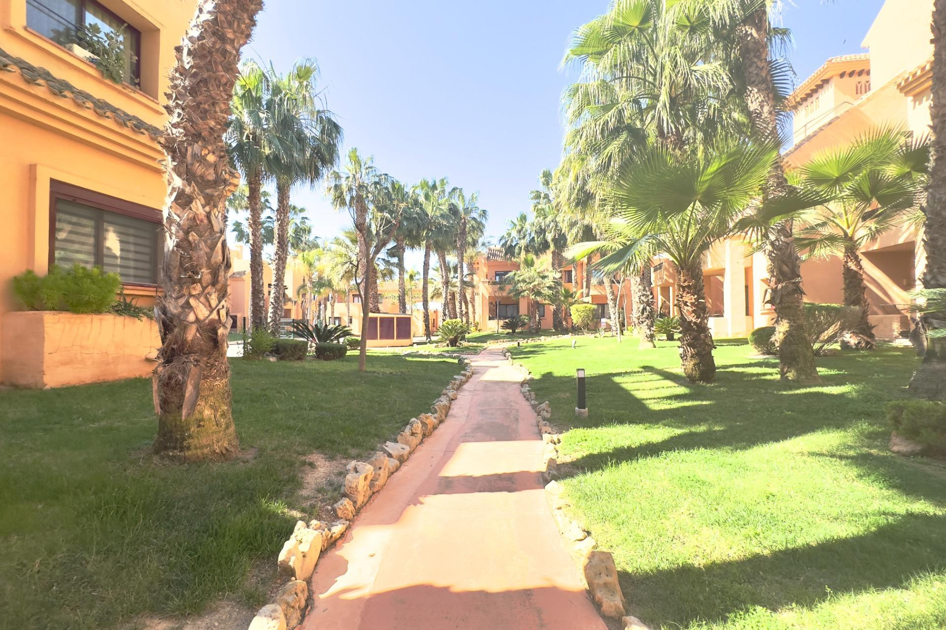Resale - Apartment  - Los Alcázares - Punta Calera