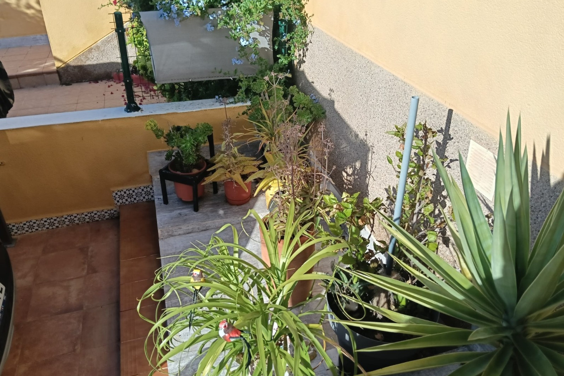 Resale - Apartment  - Los Montesinos - La Herrada