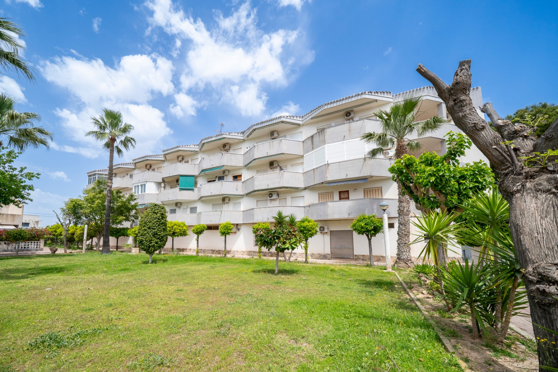 Resale - Apartment  - Orihuela Costa - Cabo Roig