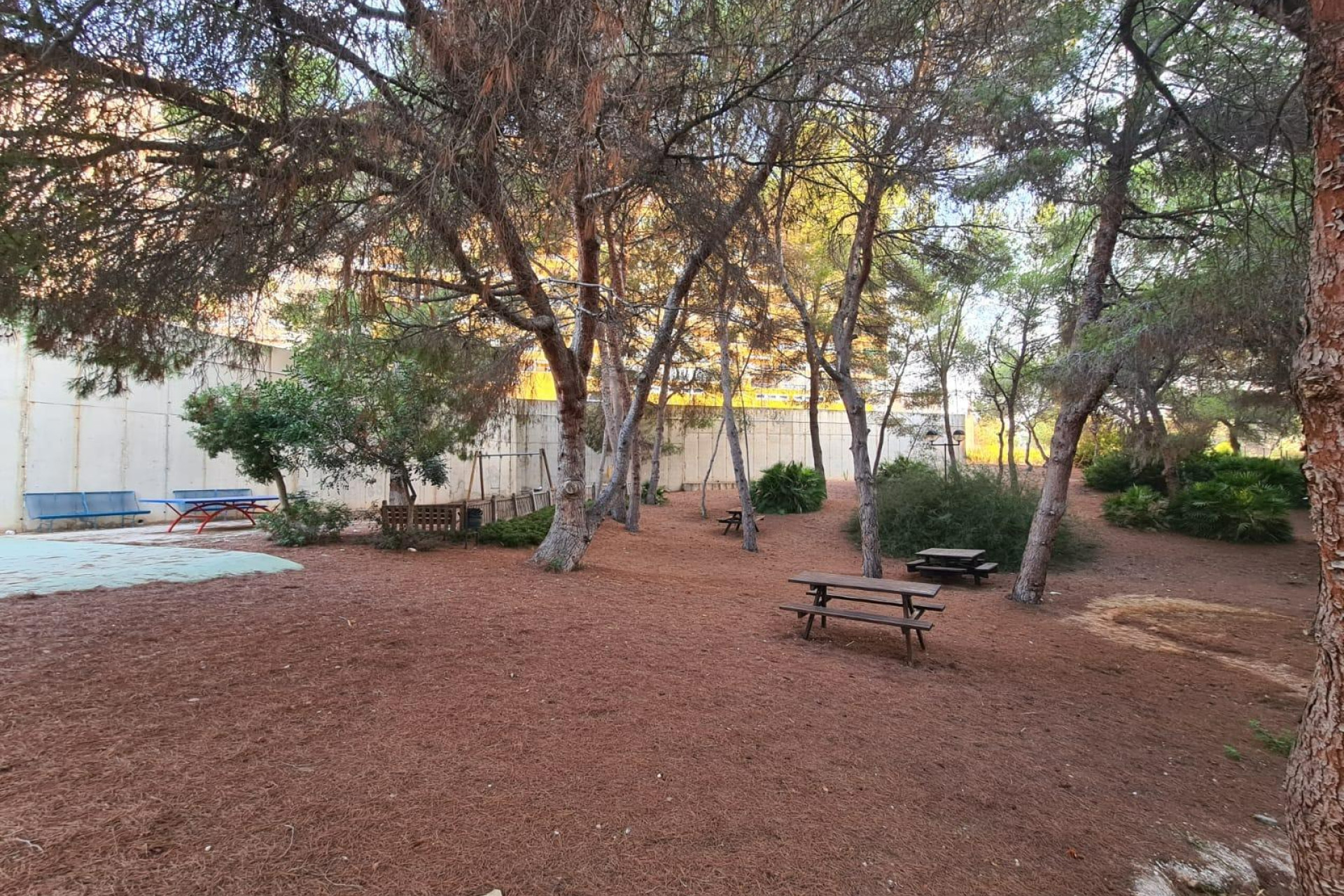 Resale - Apartment  - Orihuela Costa - Campoamor