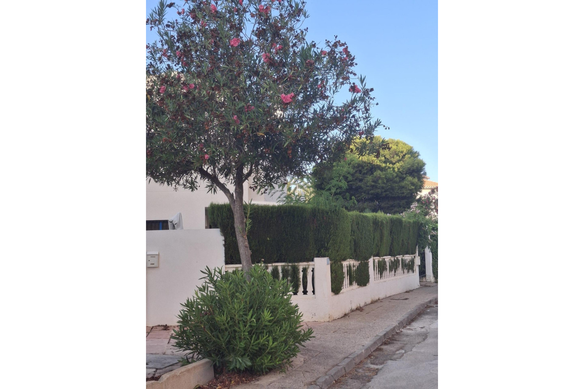 Resale - Apartment  - Orihuela Costa - La Zenia