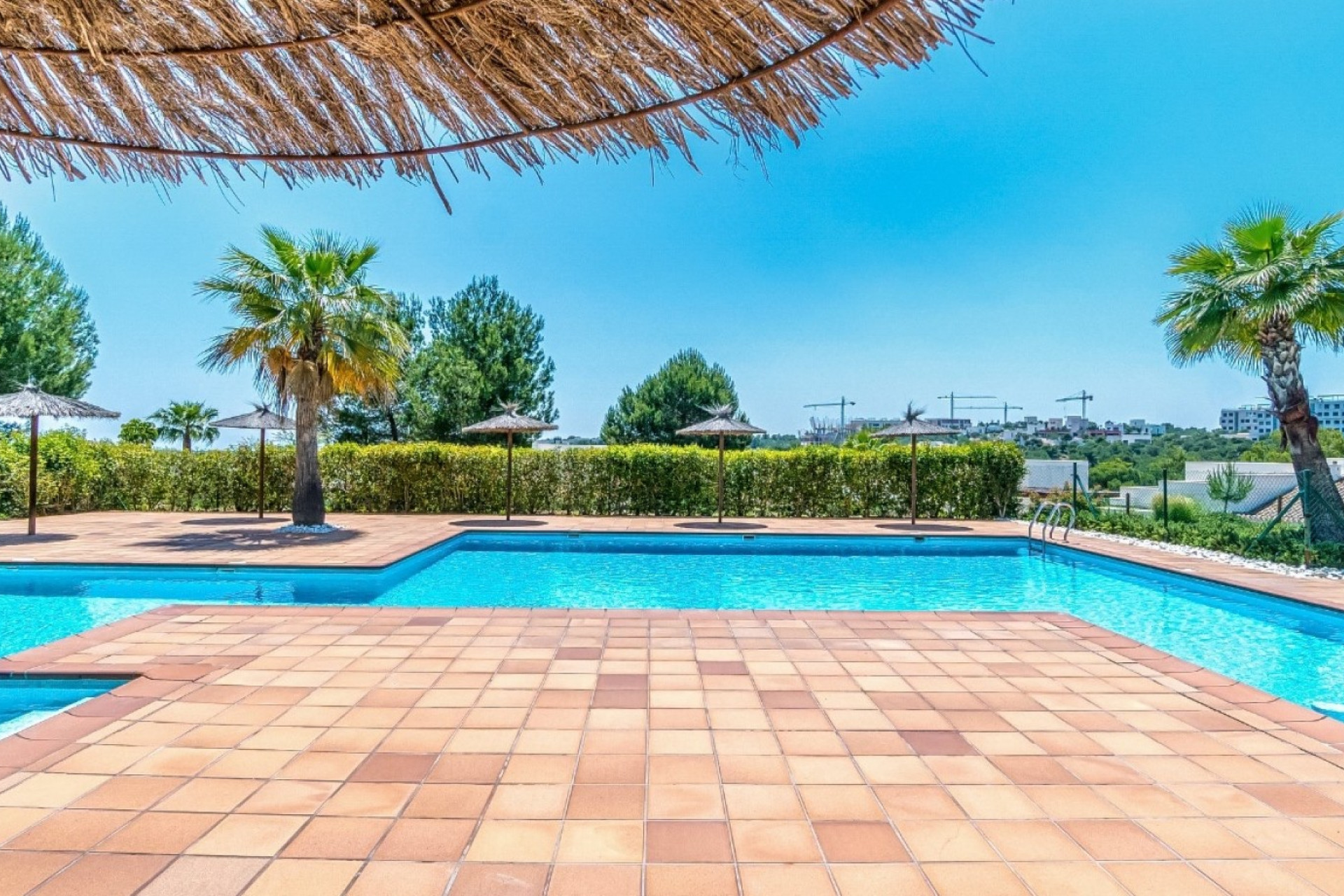 Resale - Apartment  - Orihuela Costa - Las Colinas Golf