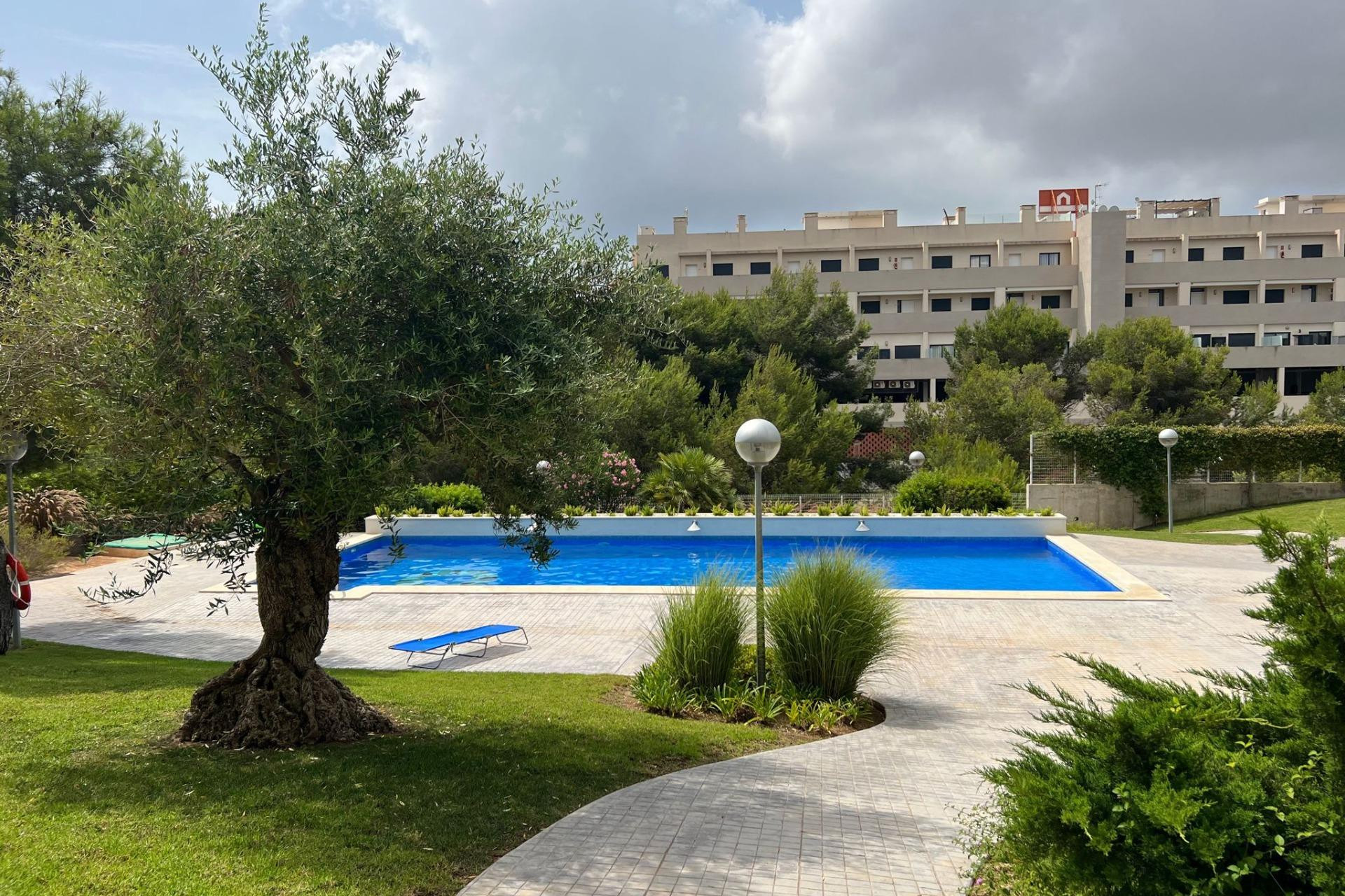 Resale - Apartment  - Orihuela Costa - Playa Flamenca