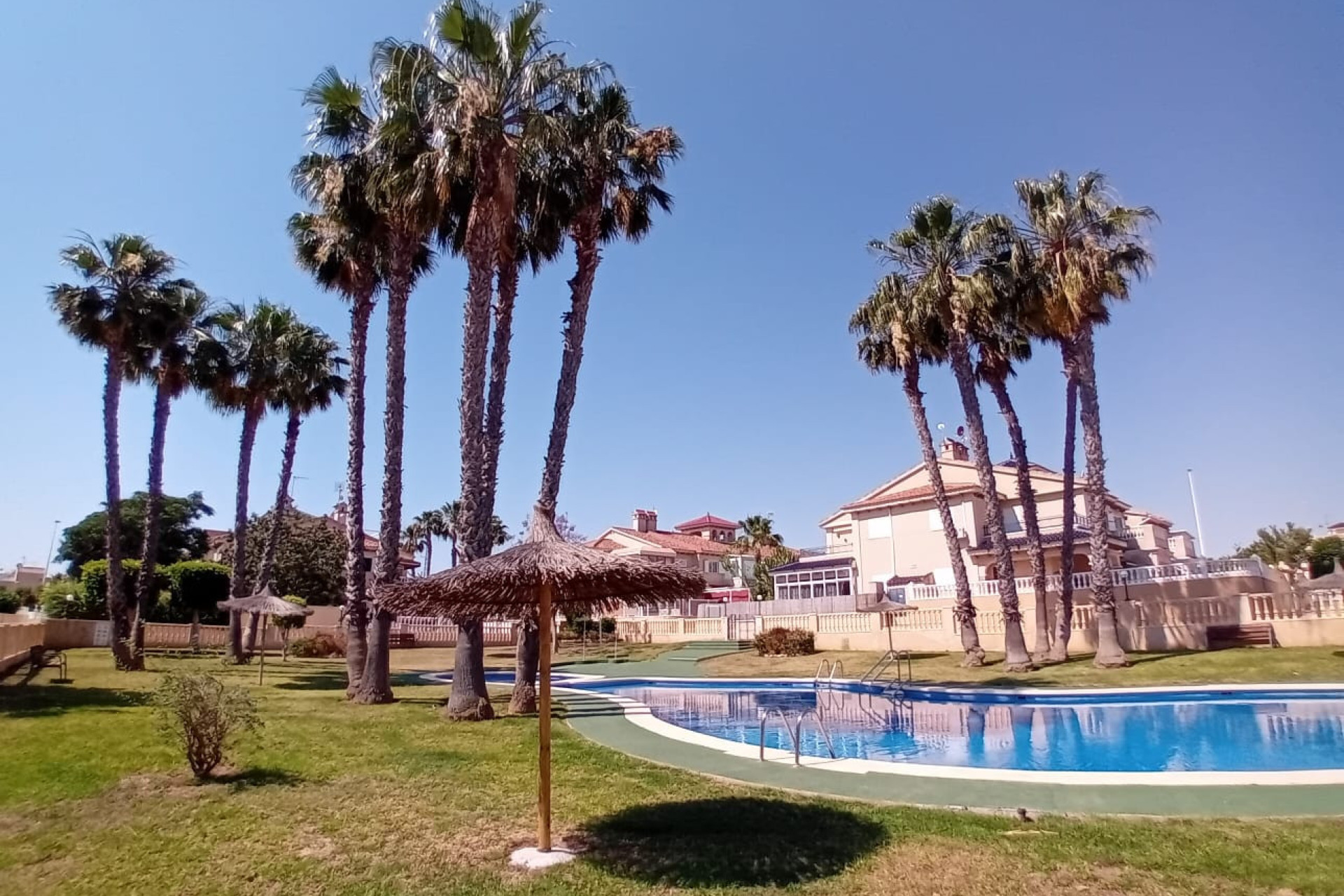 Resale - Apartment  - Orihuela Costa - Playa Flamenca