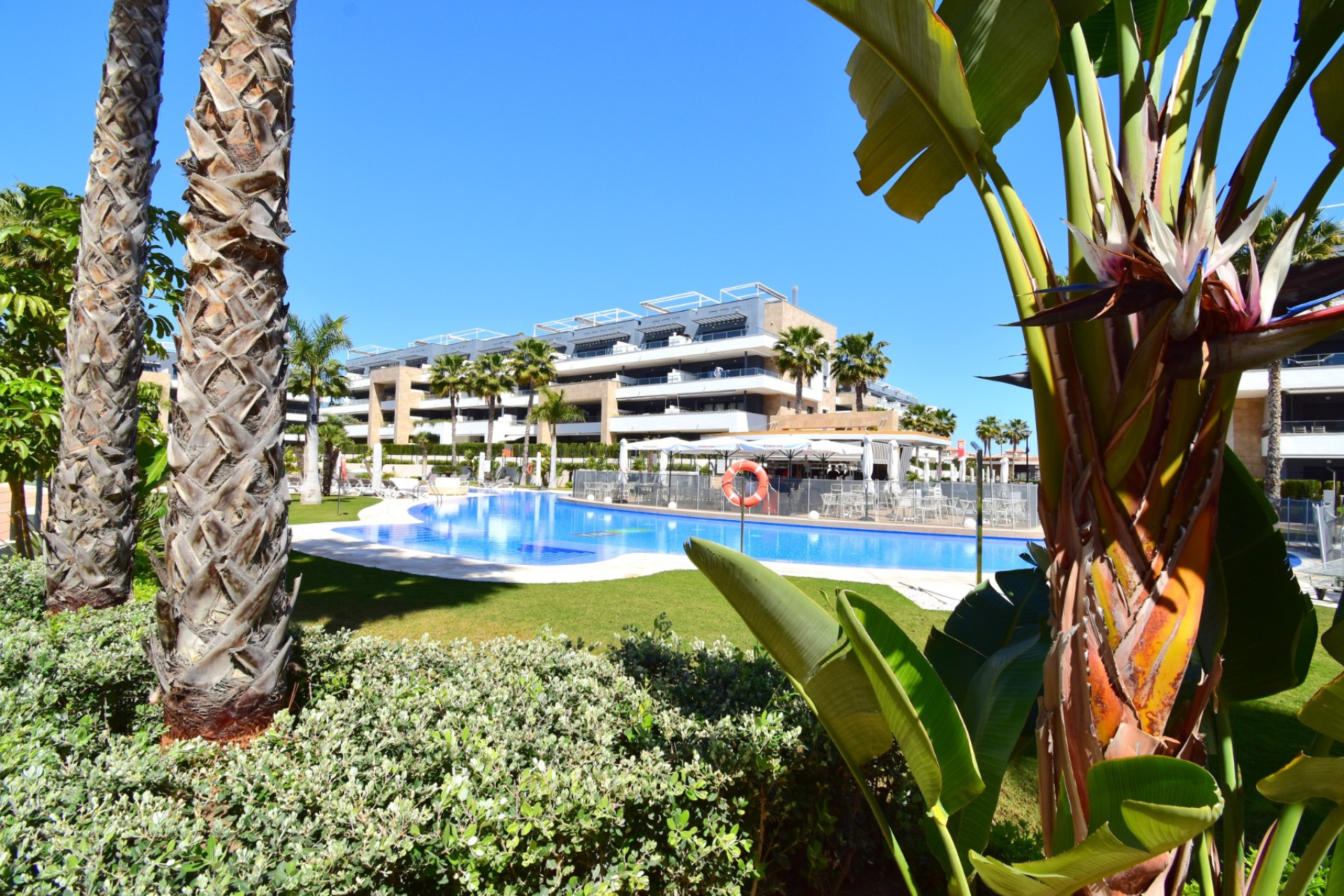 Resale - Apartment  - Orihuela Costa - Playa Flamenca