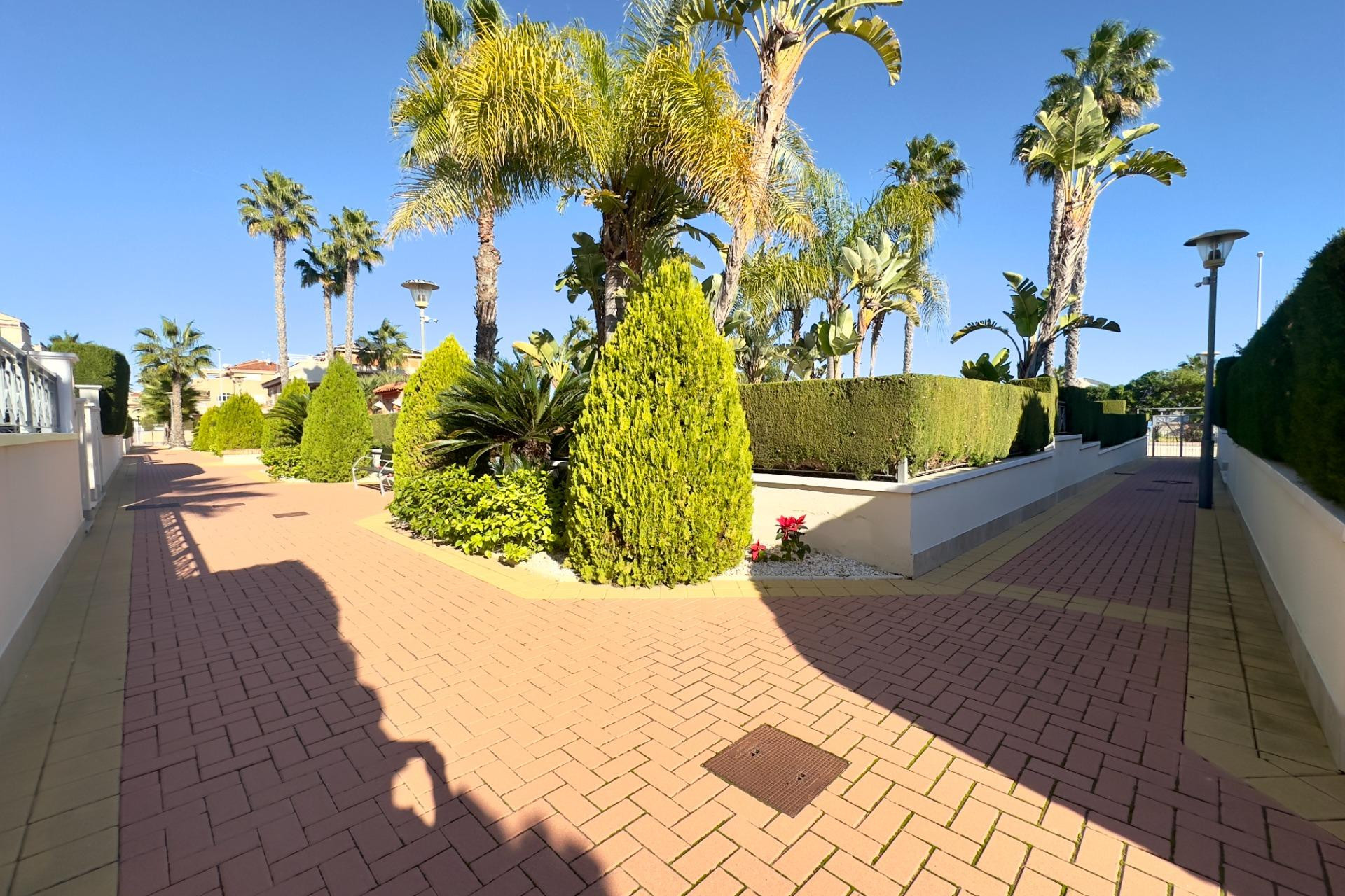 Resale - Apartment  - Orihuela Costa - Playa Flamenca