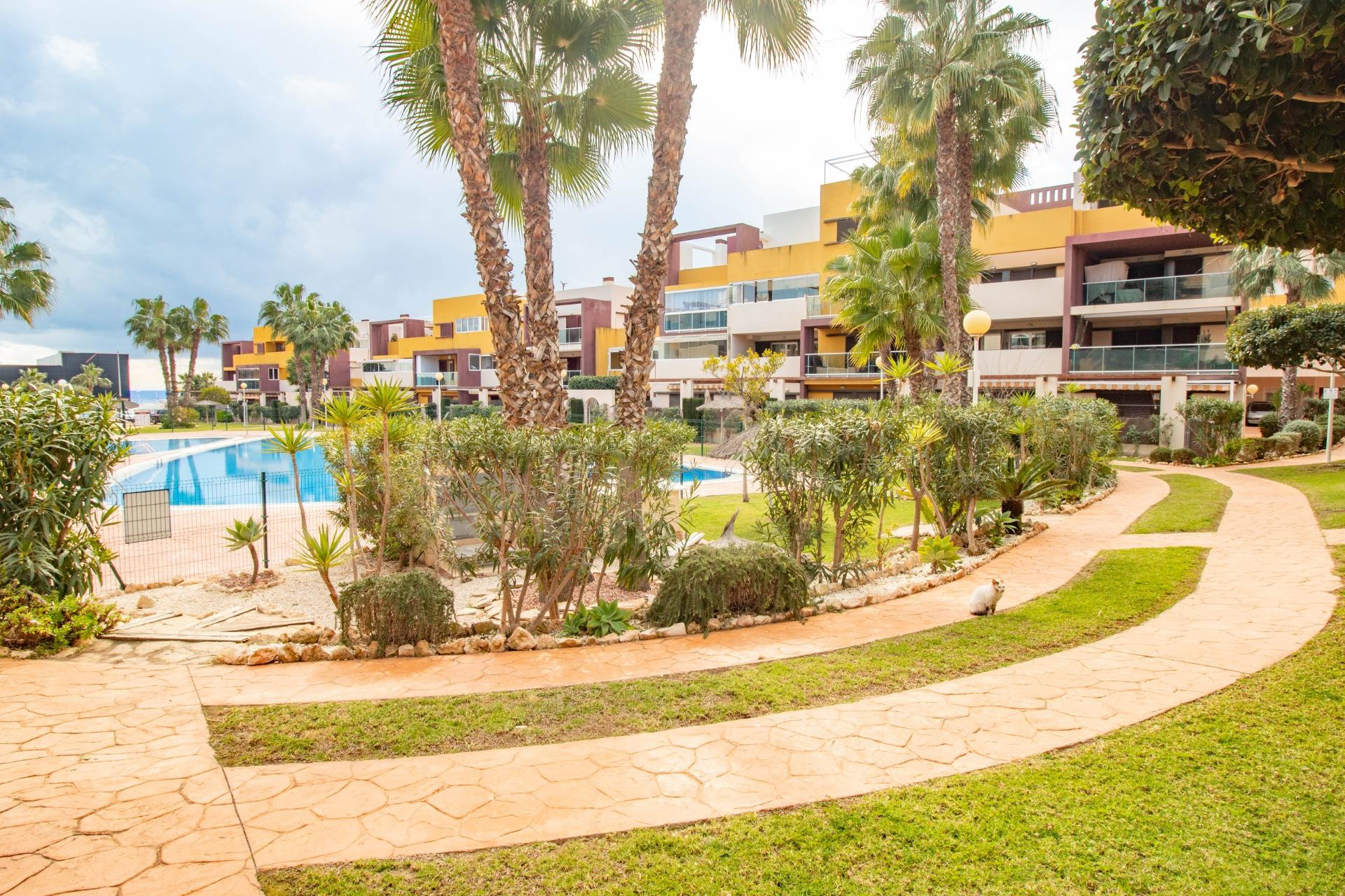 Resale - Apartment  - Orihuela Costa - Playa Flamenca