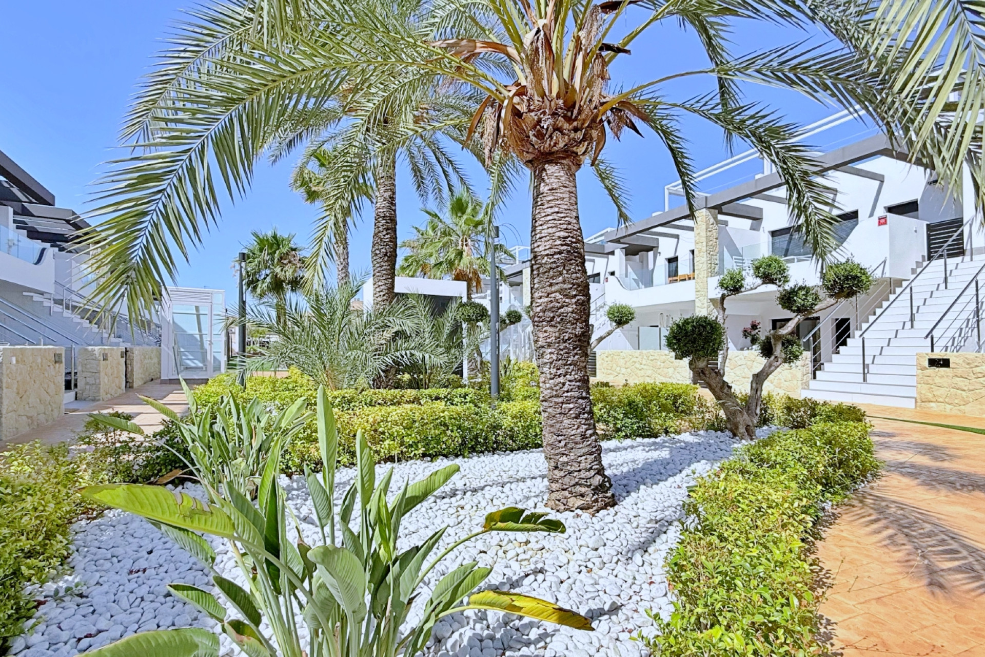 Resale - Apartment  - Orihuela Costa - Punta Prima