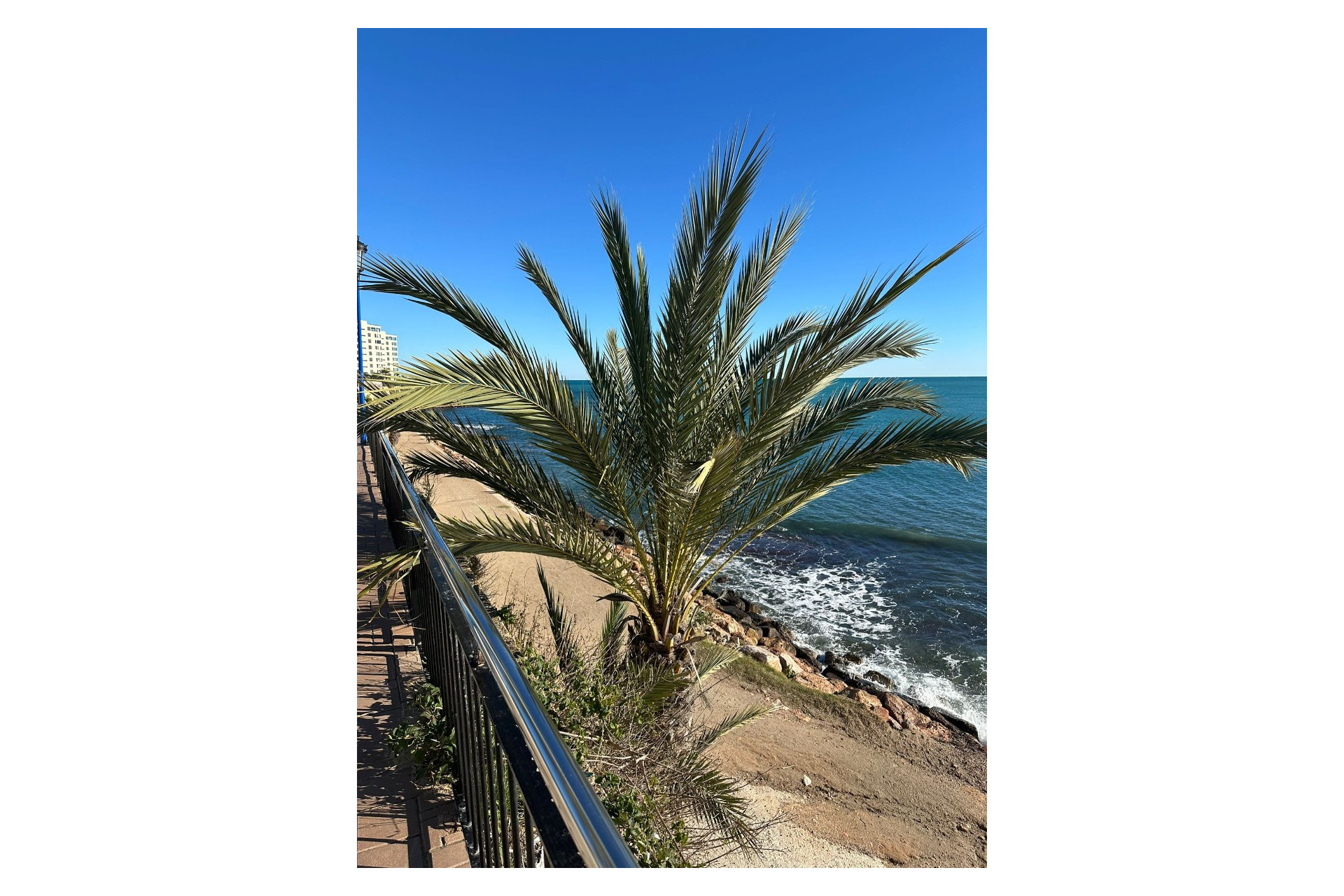 Resale - Apartment  - Orihuela Costa - Punta Prima