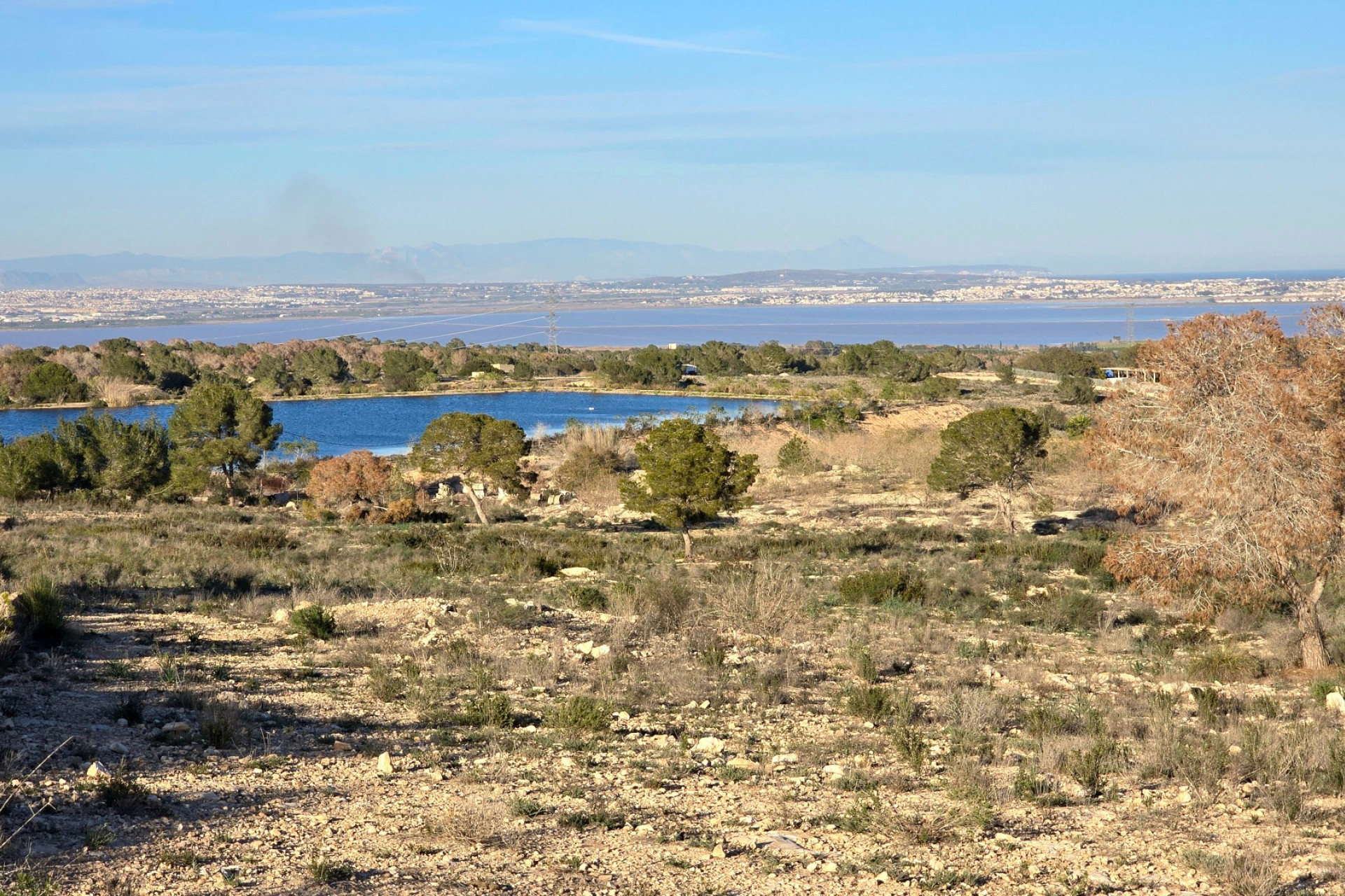 Resale - Apartment  - Orihuela Costa - Villamartin