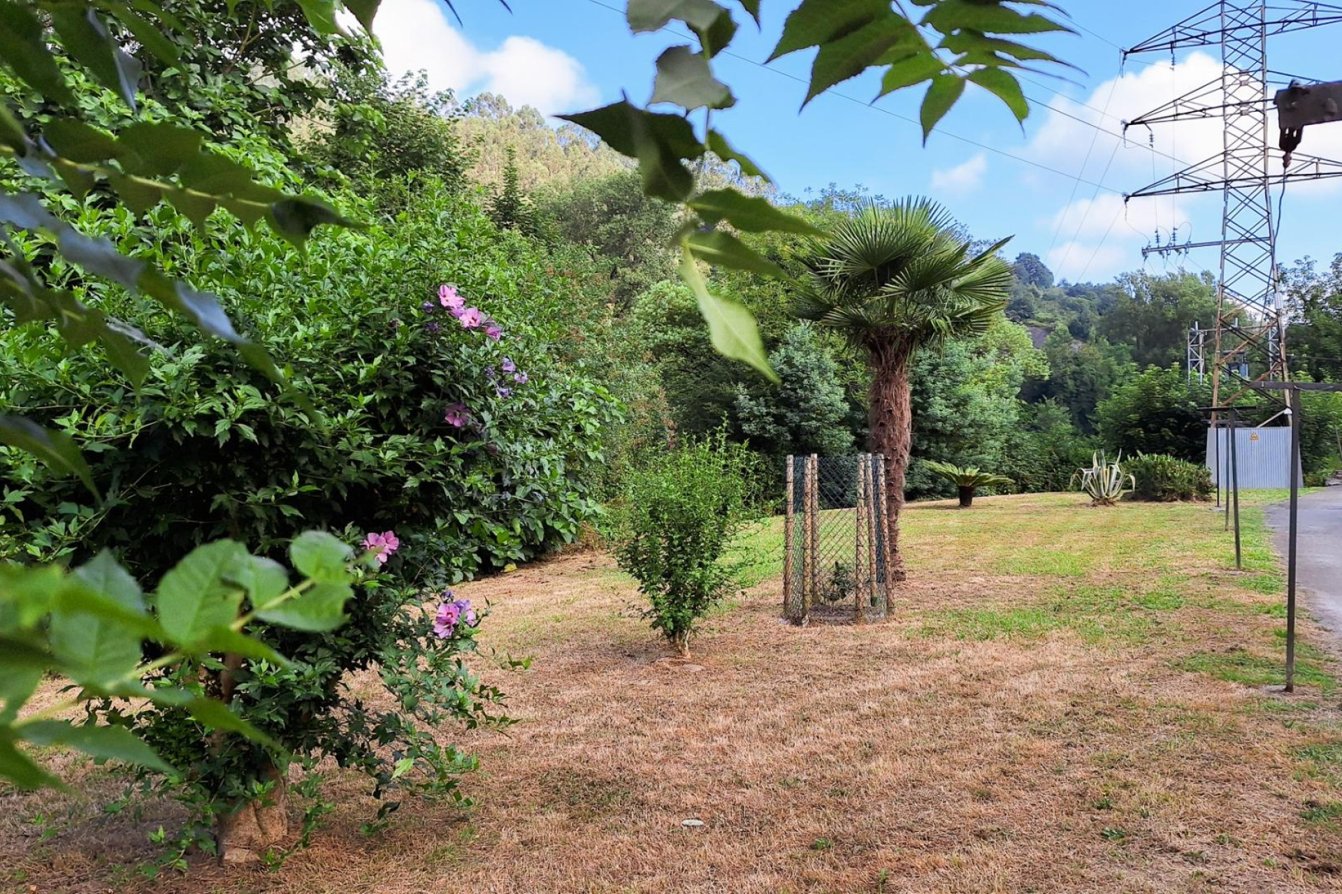 Resale - Apartment  - Oviedo - Trubia